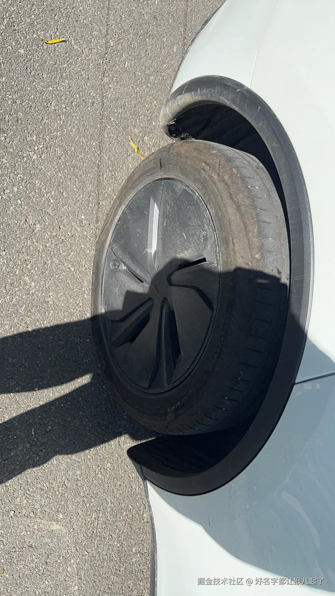 好名字都让猴儿起了于2025-11-17 10:49发布的图片