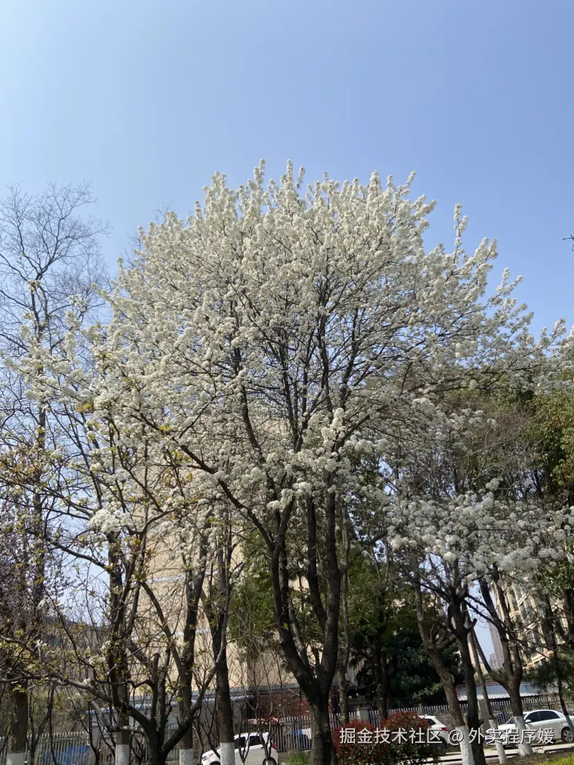 外卖程序媛于2026-03-25 11:39发布的图片