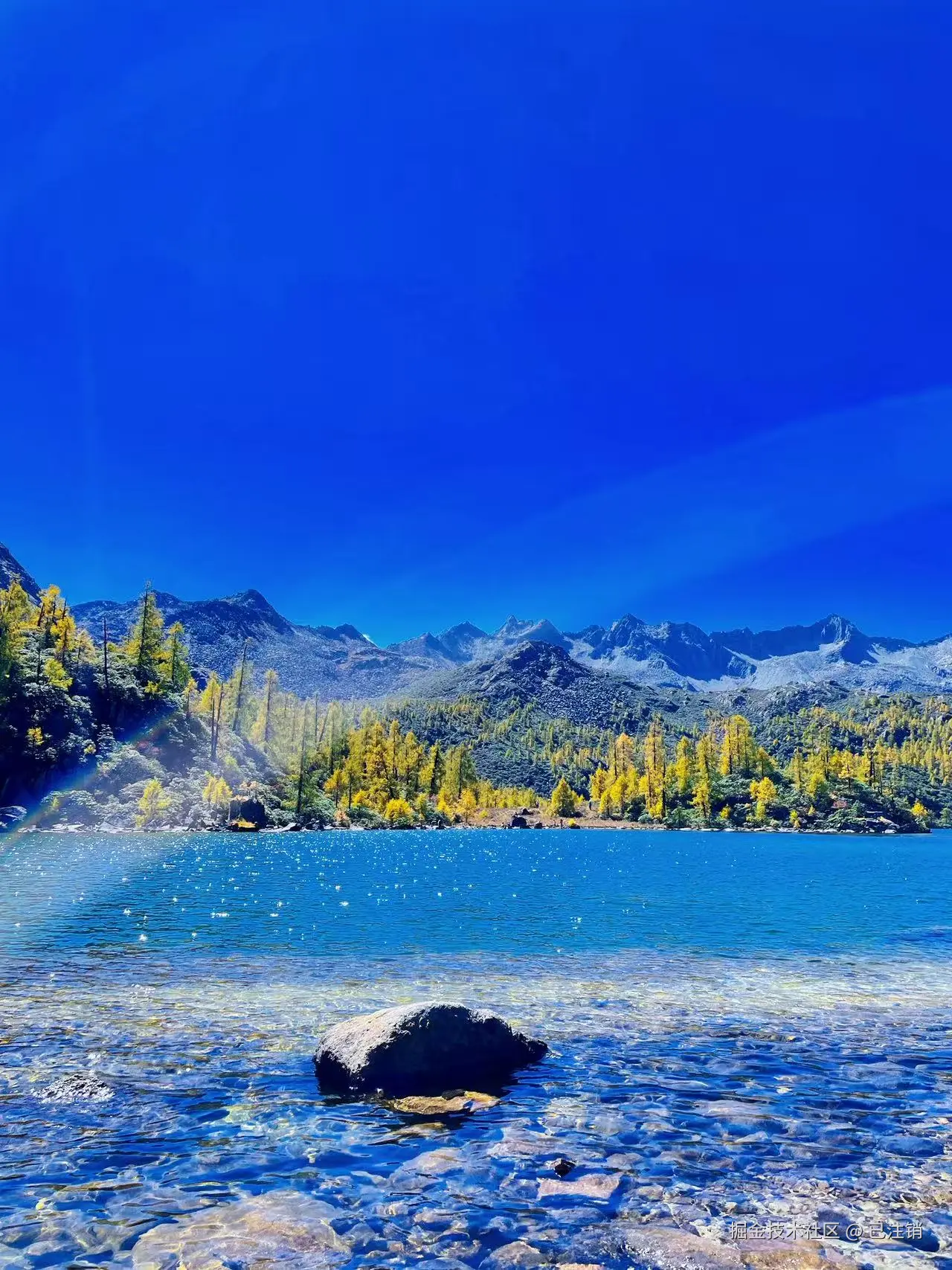 已注销于2025-05-26 16:12发布的图片