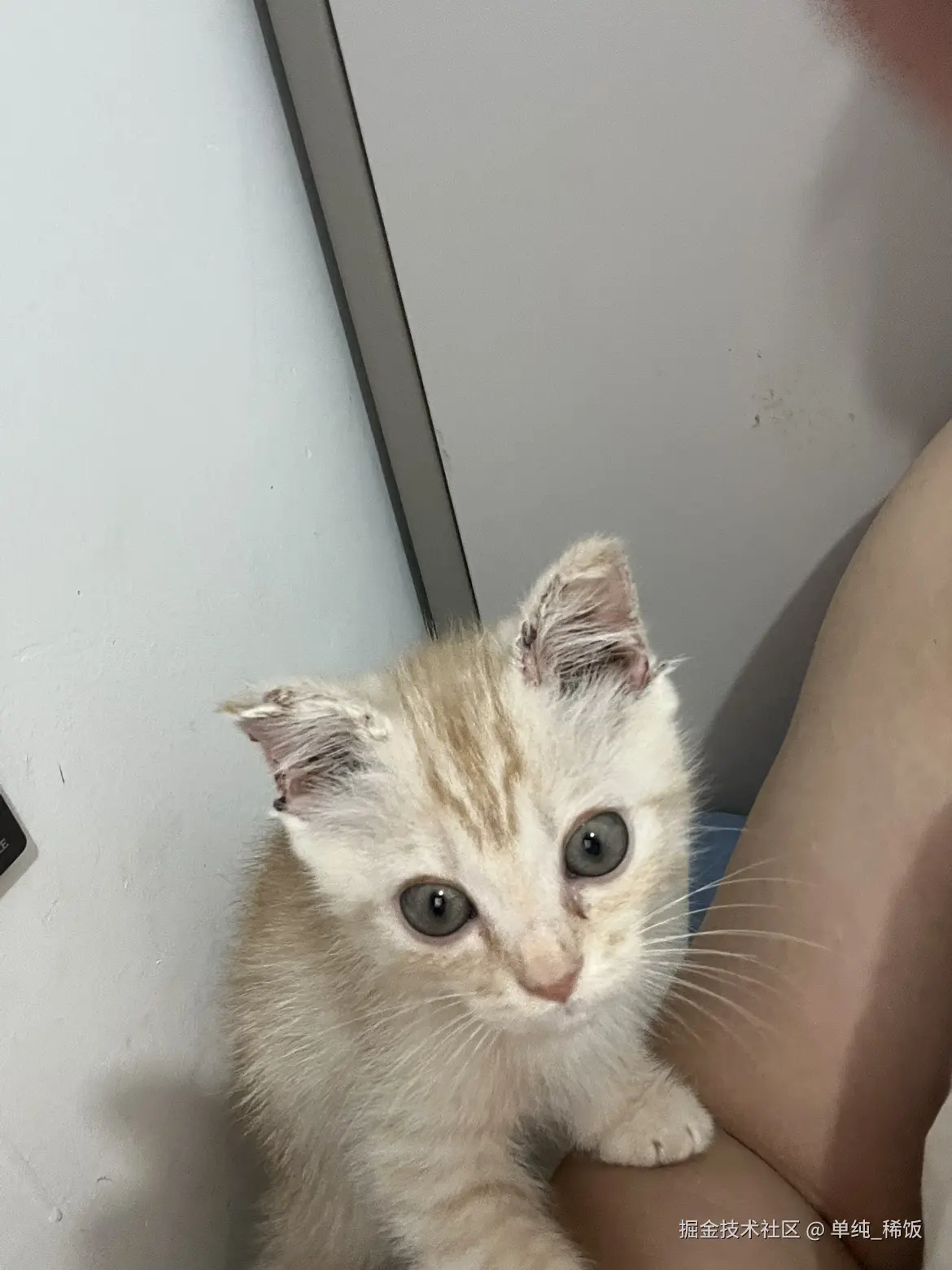 单纯_稀饭于2025-03-13 11:26发布的图片