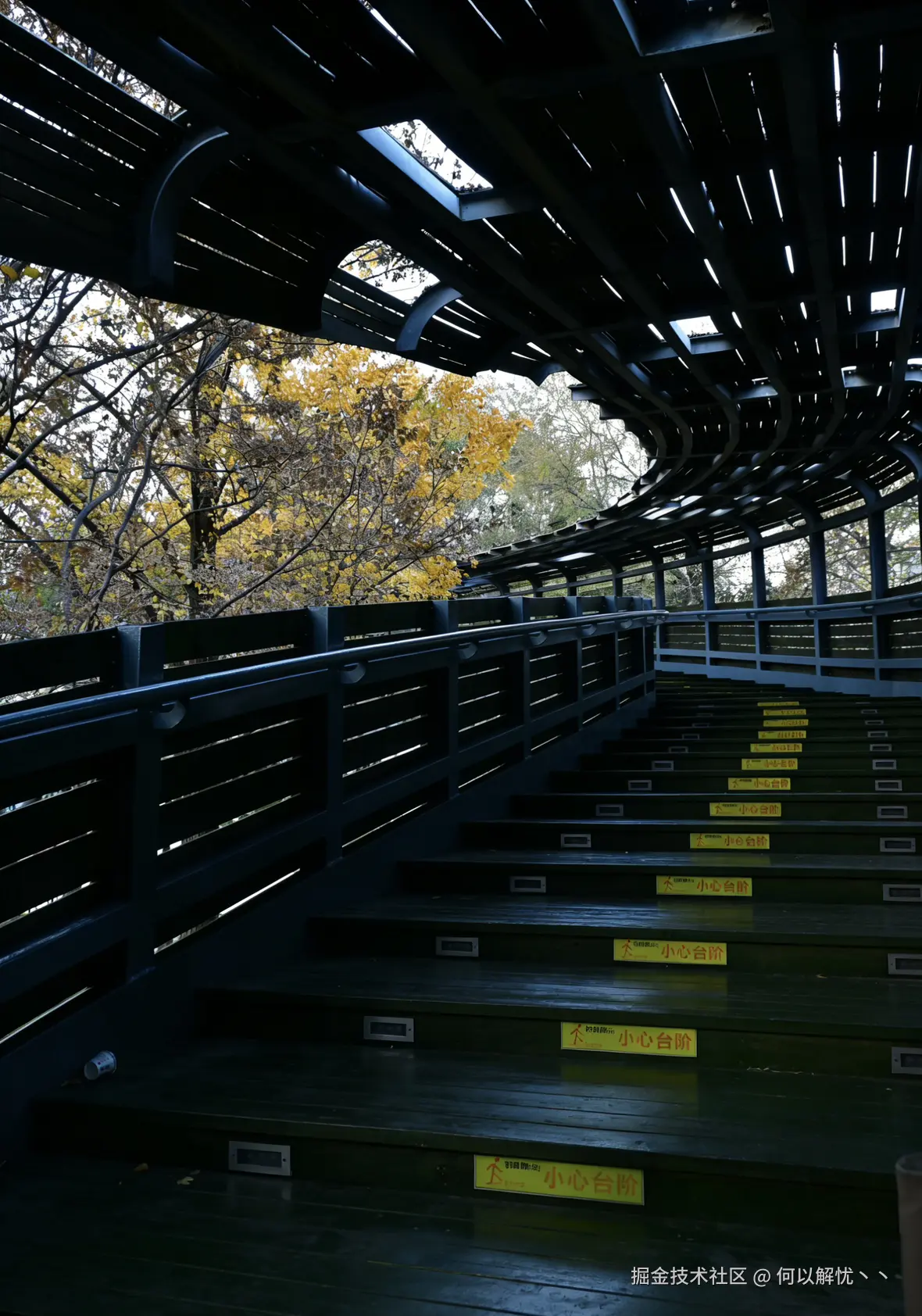 何以解忧丶丶于2025-12-08 10:12发布的图片