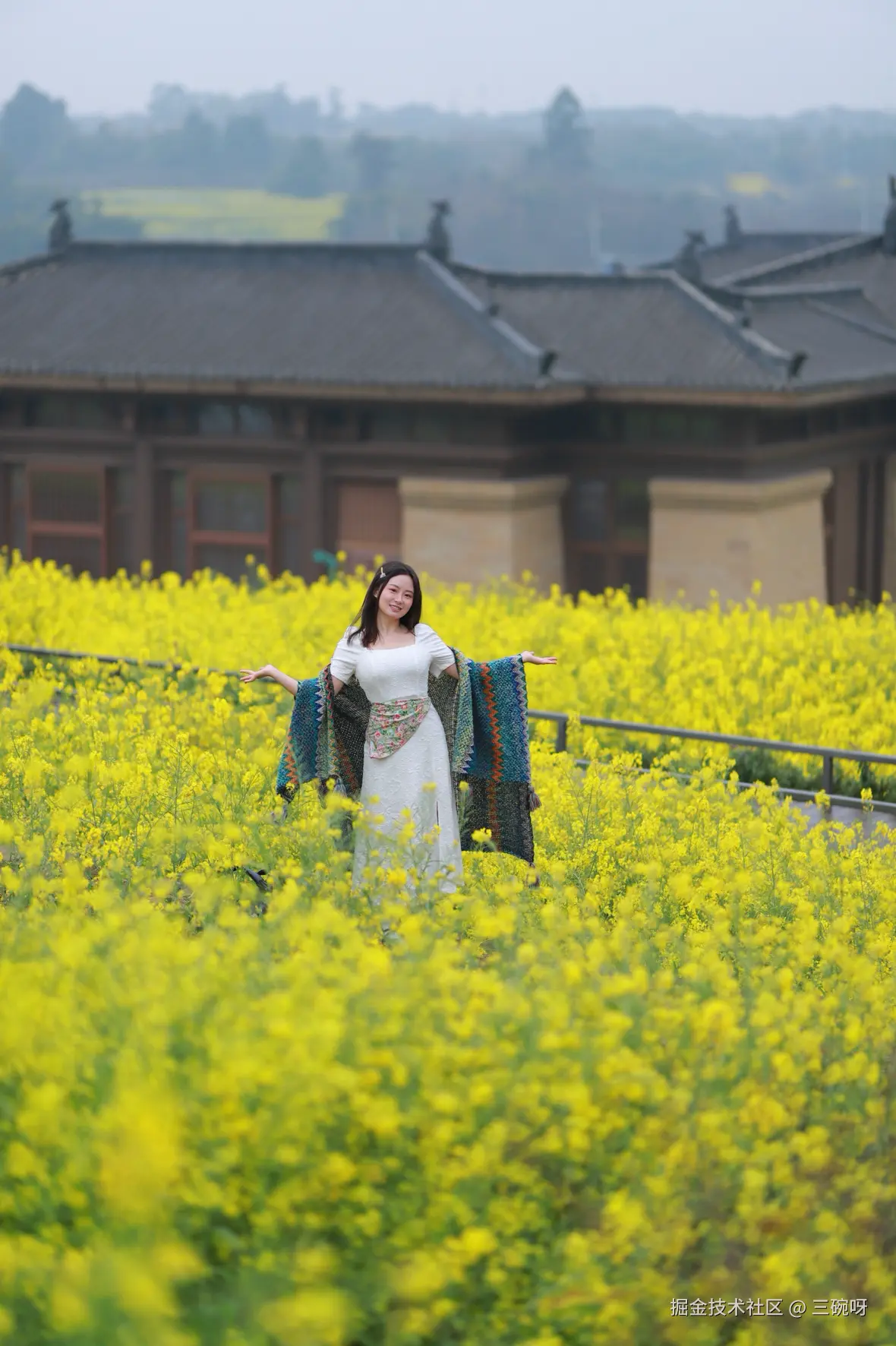 三碗呀于2026-03-09 10:37发布的图片