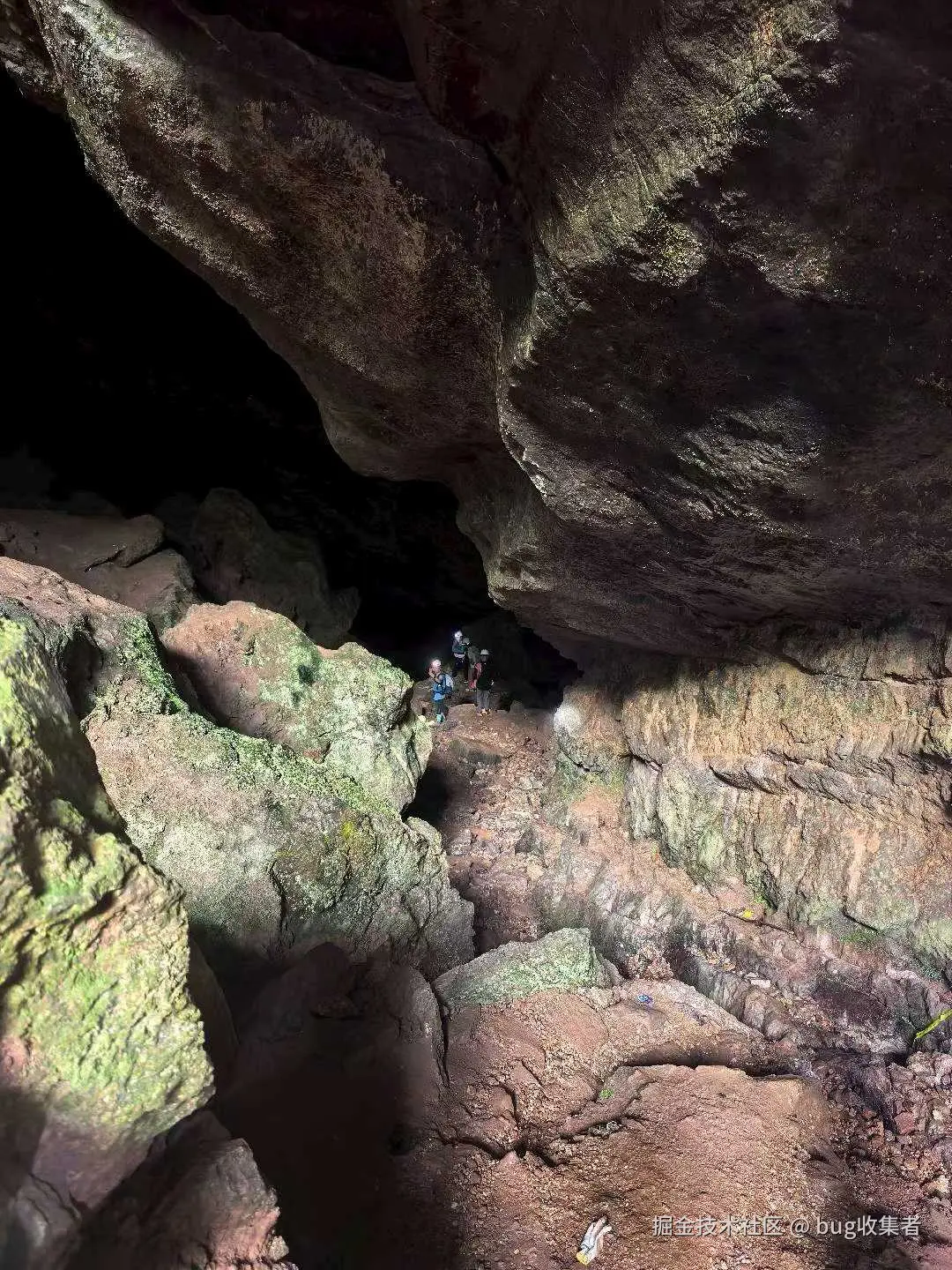 bug收集者于2025-08-11 11:32发布的图片