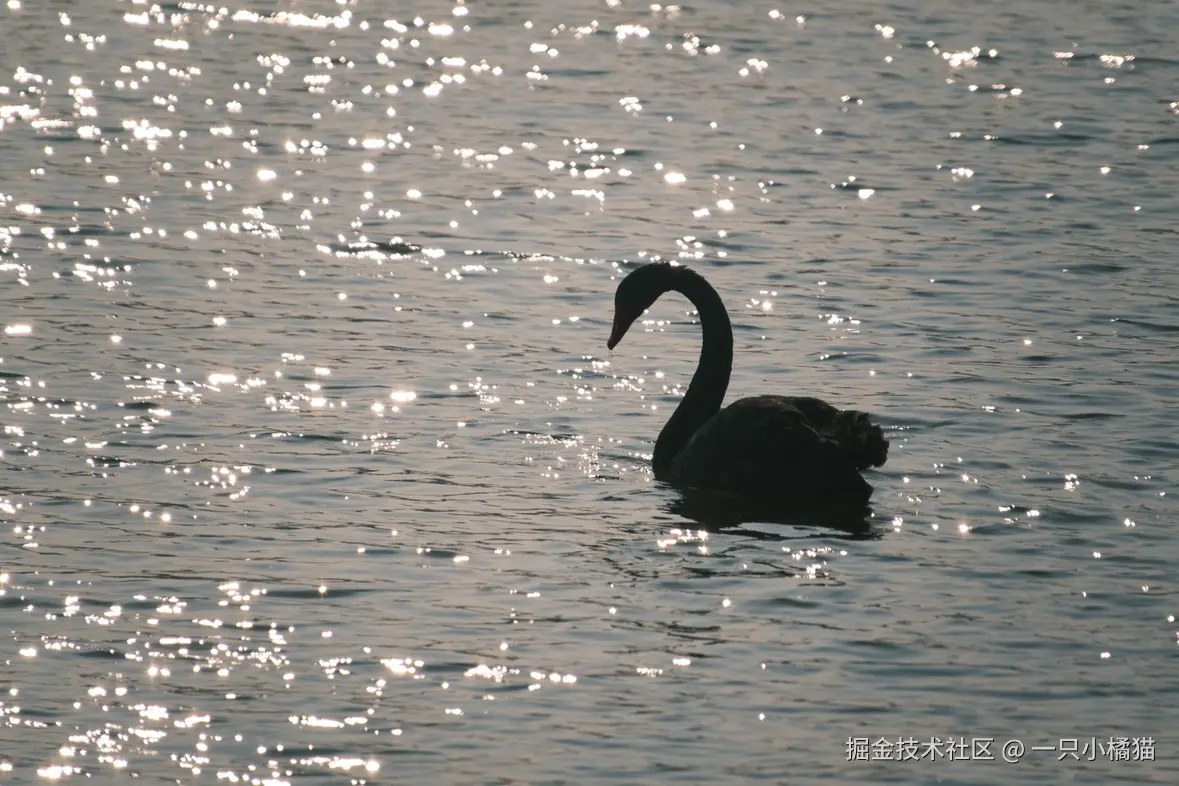 一只小橘猫于2026-01-08 22:30发布的图片