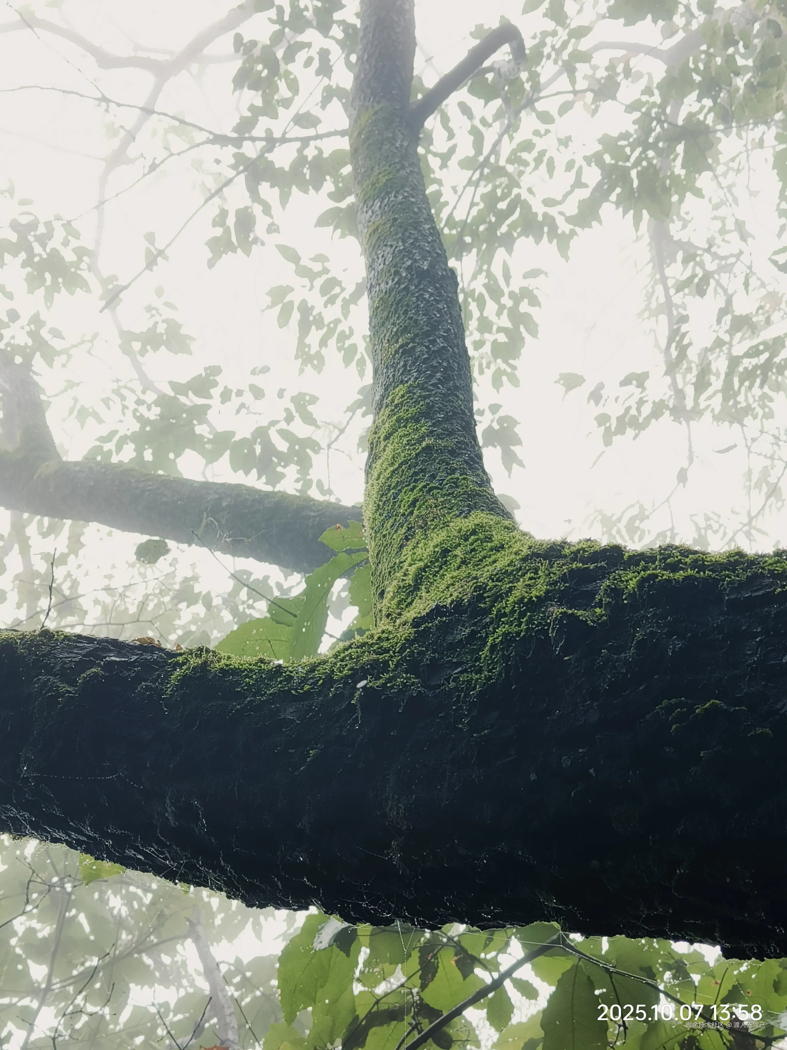 渡人先渡己于2025-10-31 10:05发布的图片