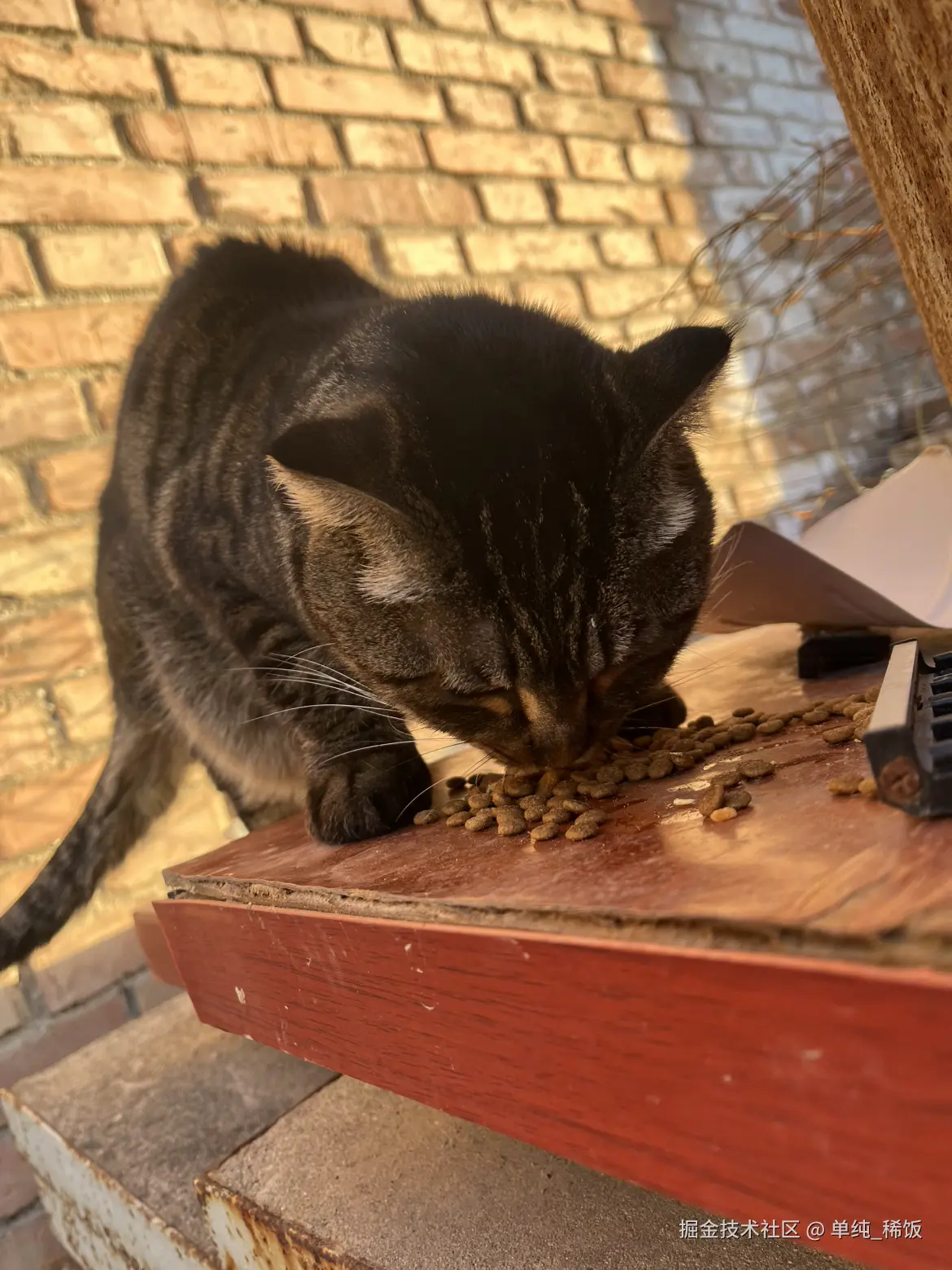 单纯_稀饭于2025-11-25 08:35发布的图片