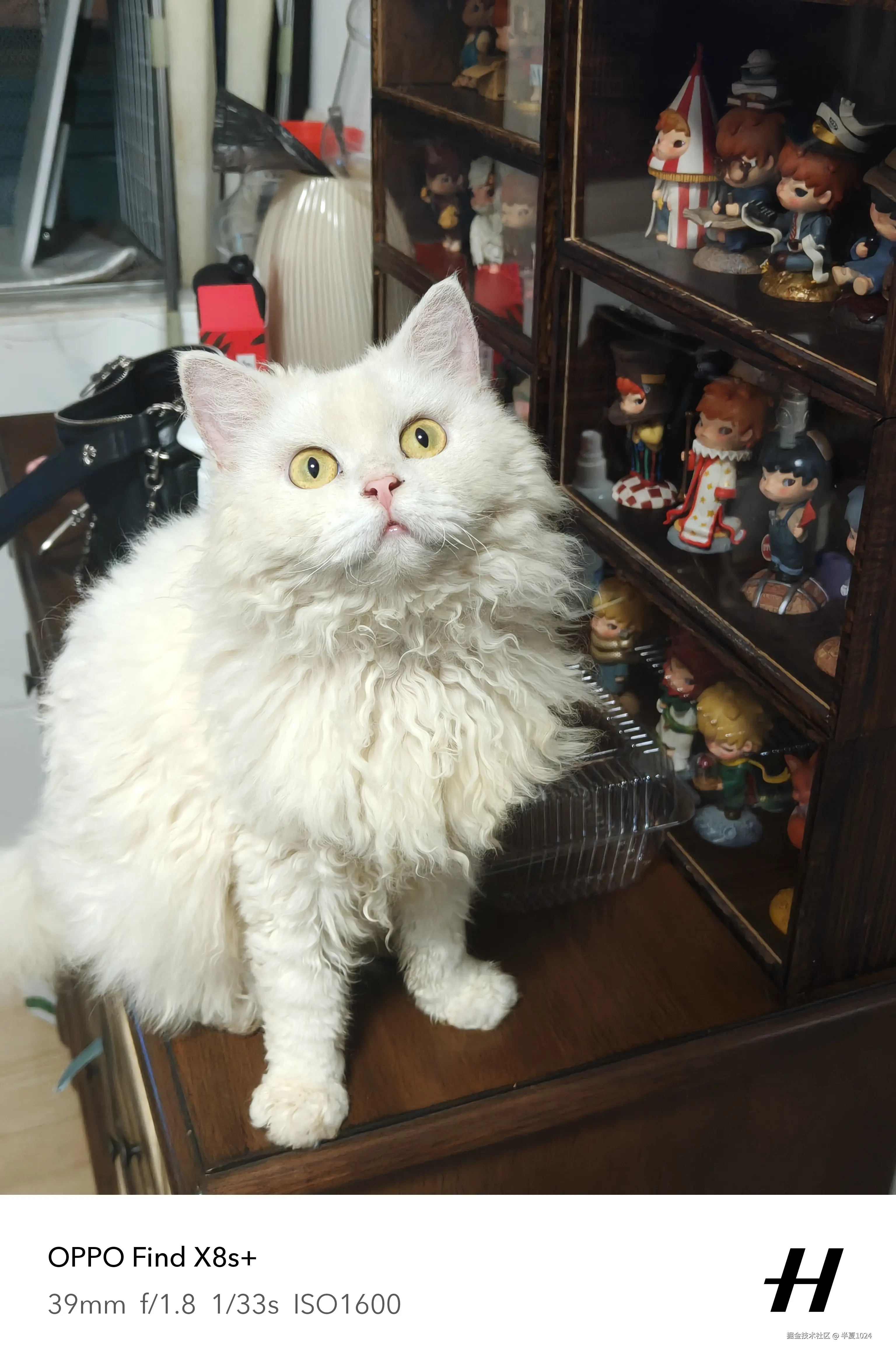 半夏1024于2025-06-23 09:42发布的图片