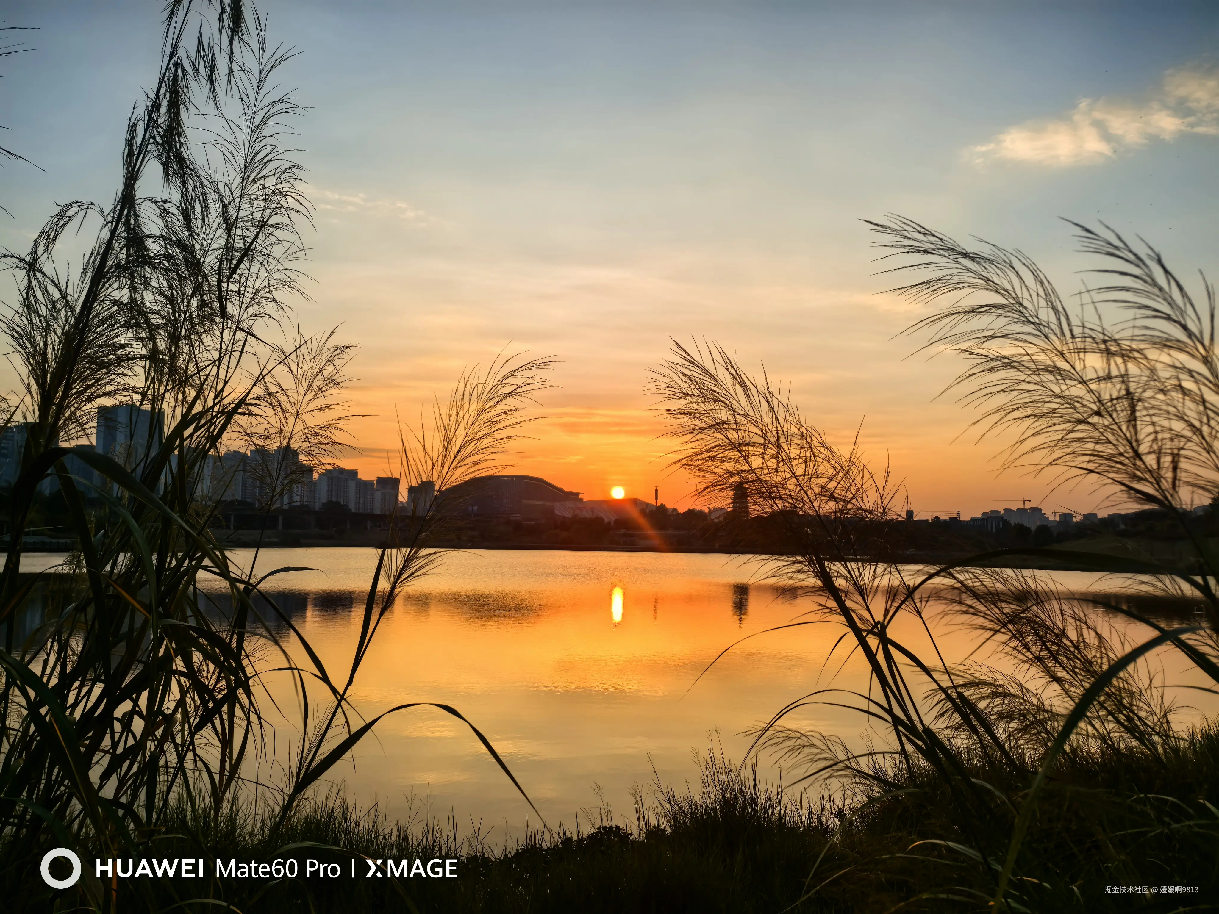 媛媛啊9813于2024-11-04 07:14发布的图片