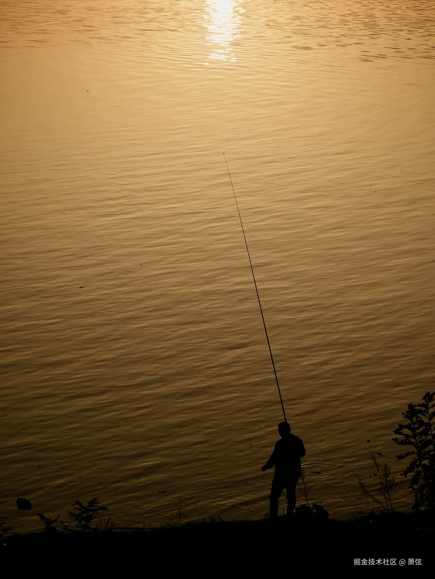 萧弦于2026-04-26 10:06发布的图片