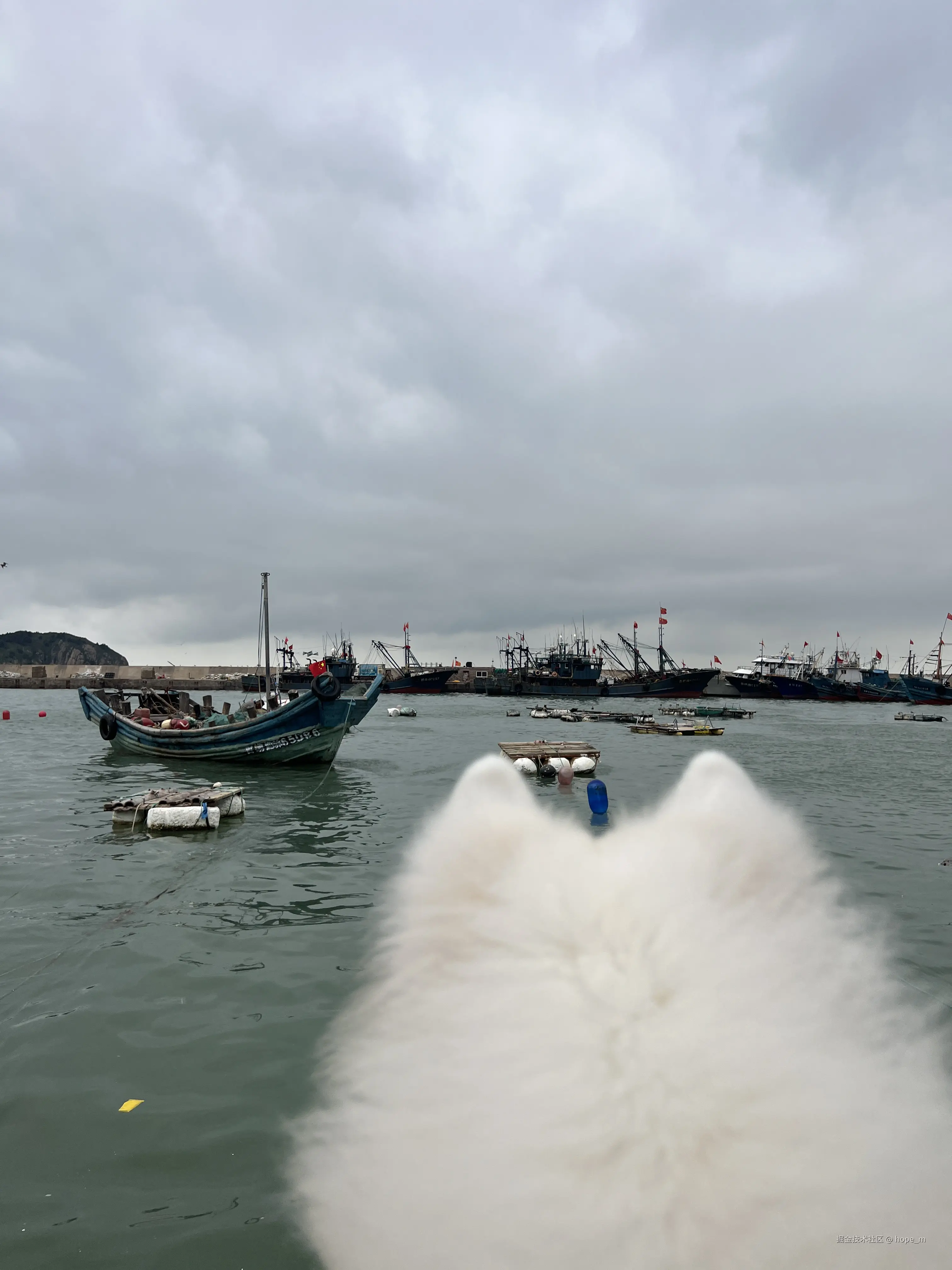 hope_m于2025-10-10 13:22发布的图片