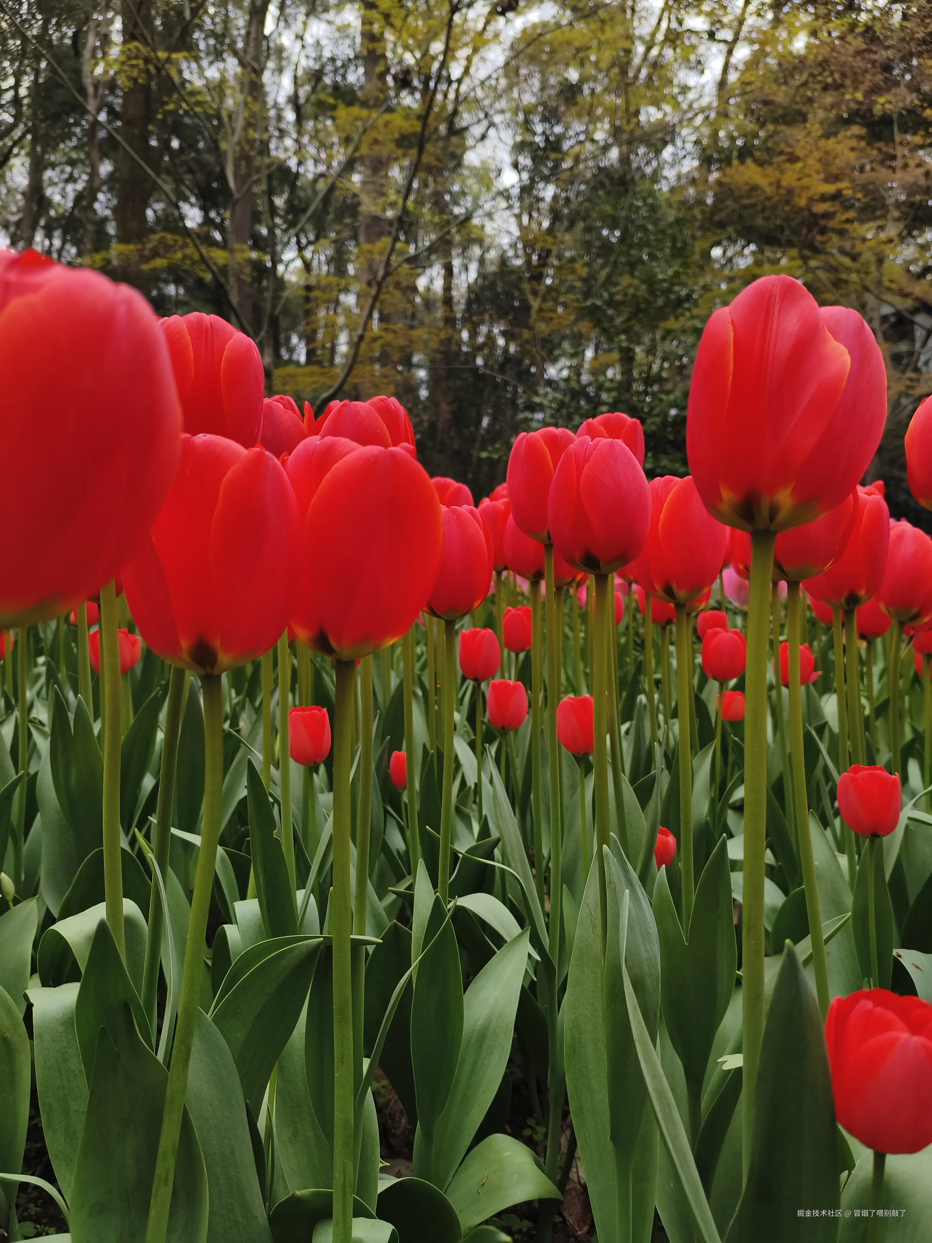 冒烟了喂别敲了于2026-03-23 12:05发布的图片