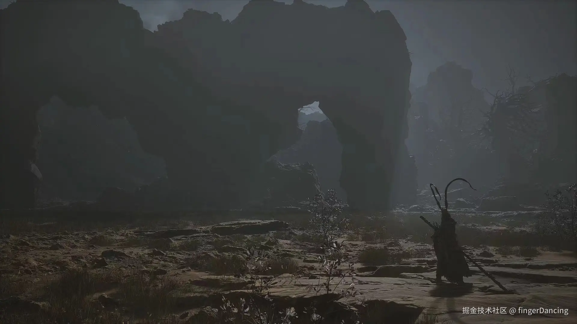 fingerDancing于2024-09-02 15:48发布的图片