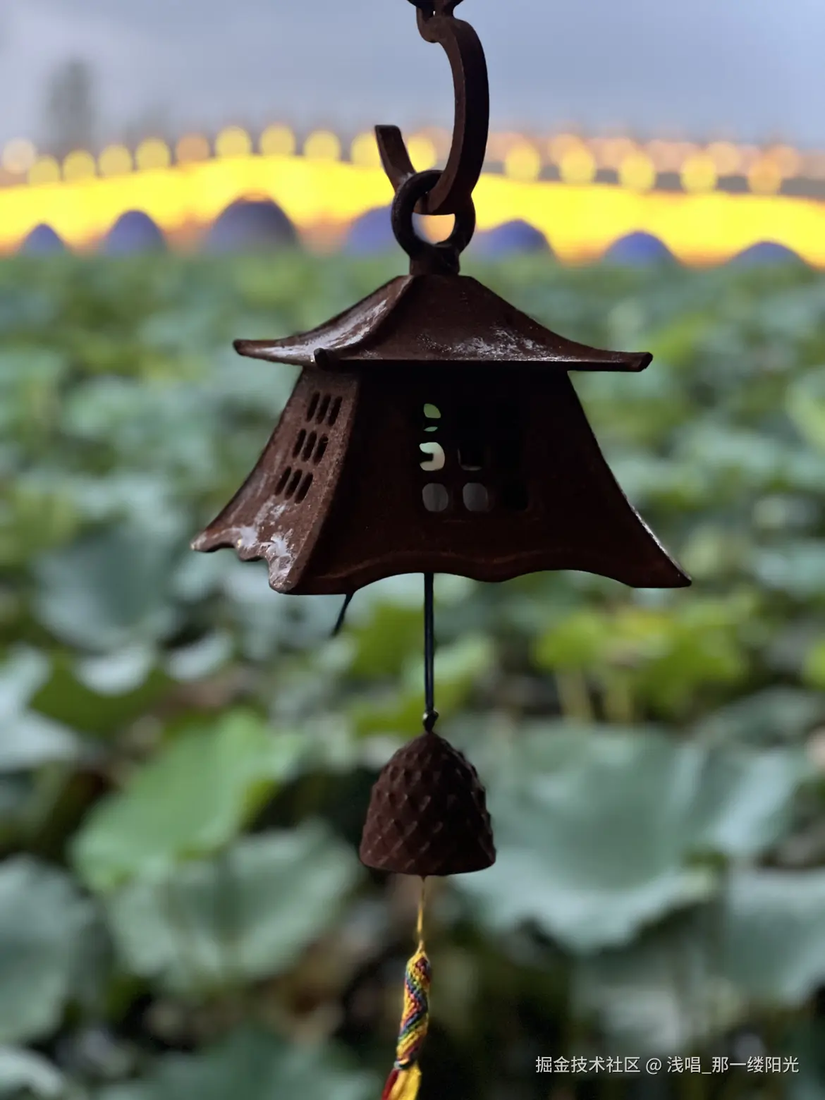 浅唱_那一缕阳光于2025-08-12 09:37发布的图片