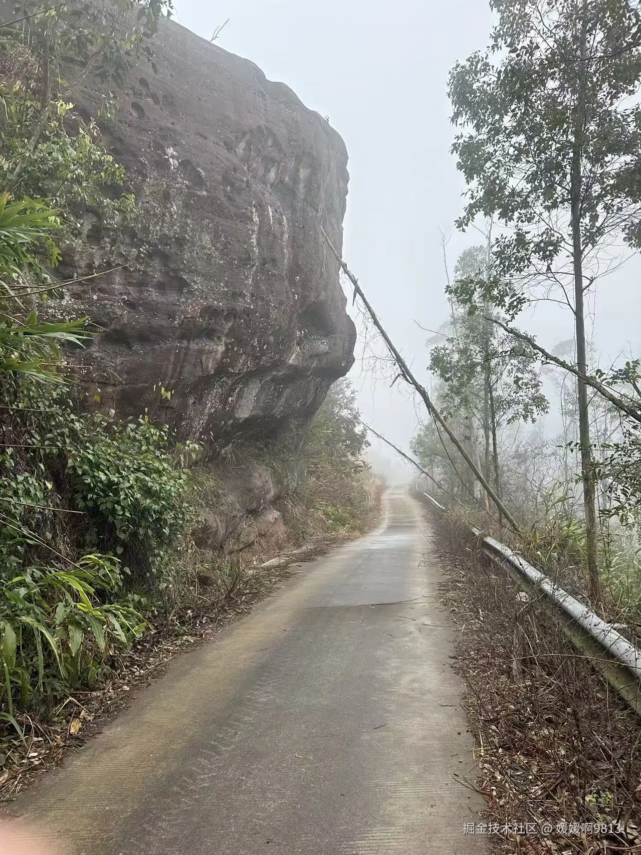 媛媛啊9813于2026-01-24 19:39发布的图片