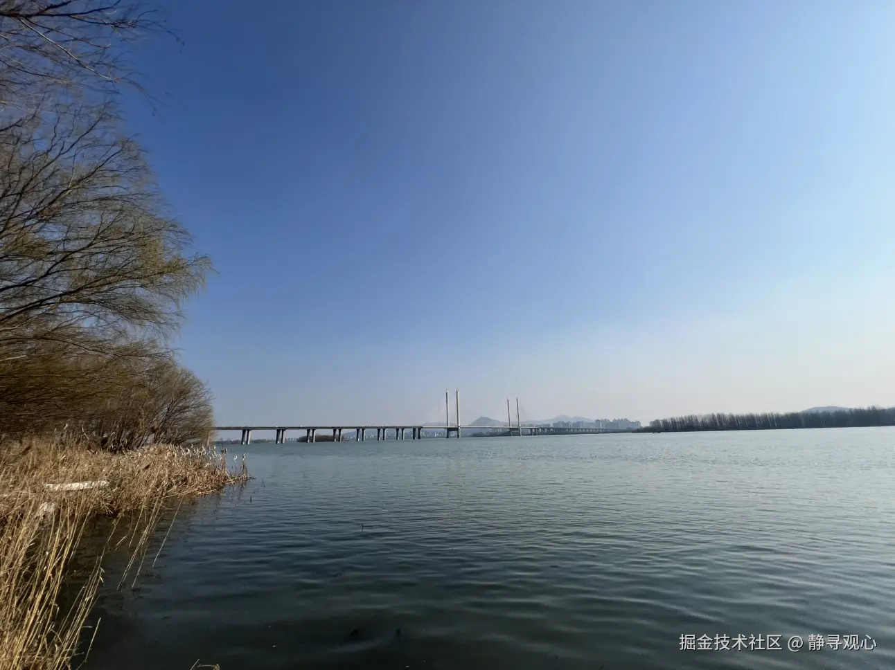 静寻观心于2026-03-06 07:10发布的图片