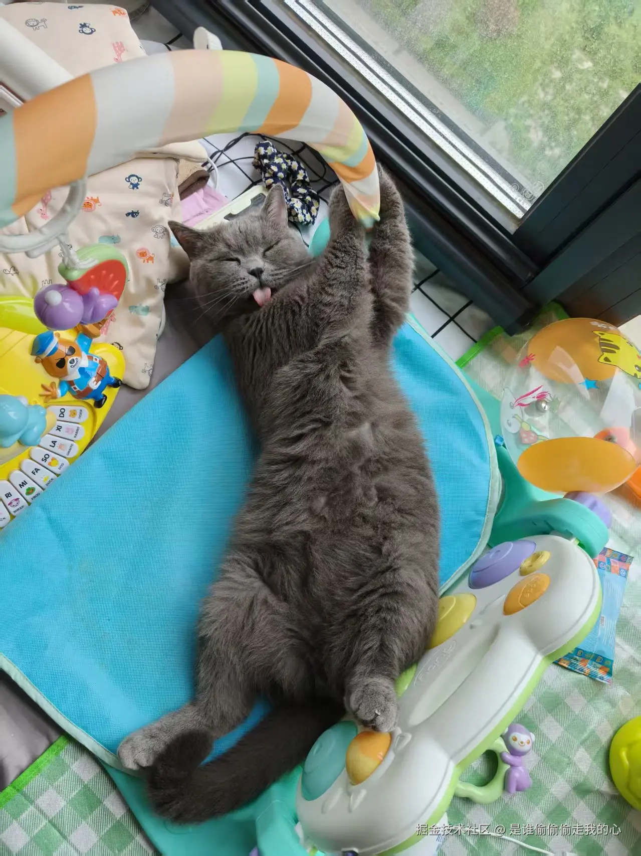 是谁偷偷偷走我的心于2025-06-30 15:14发布的图片