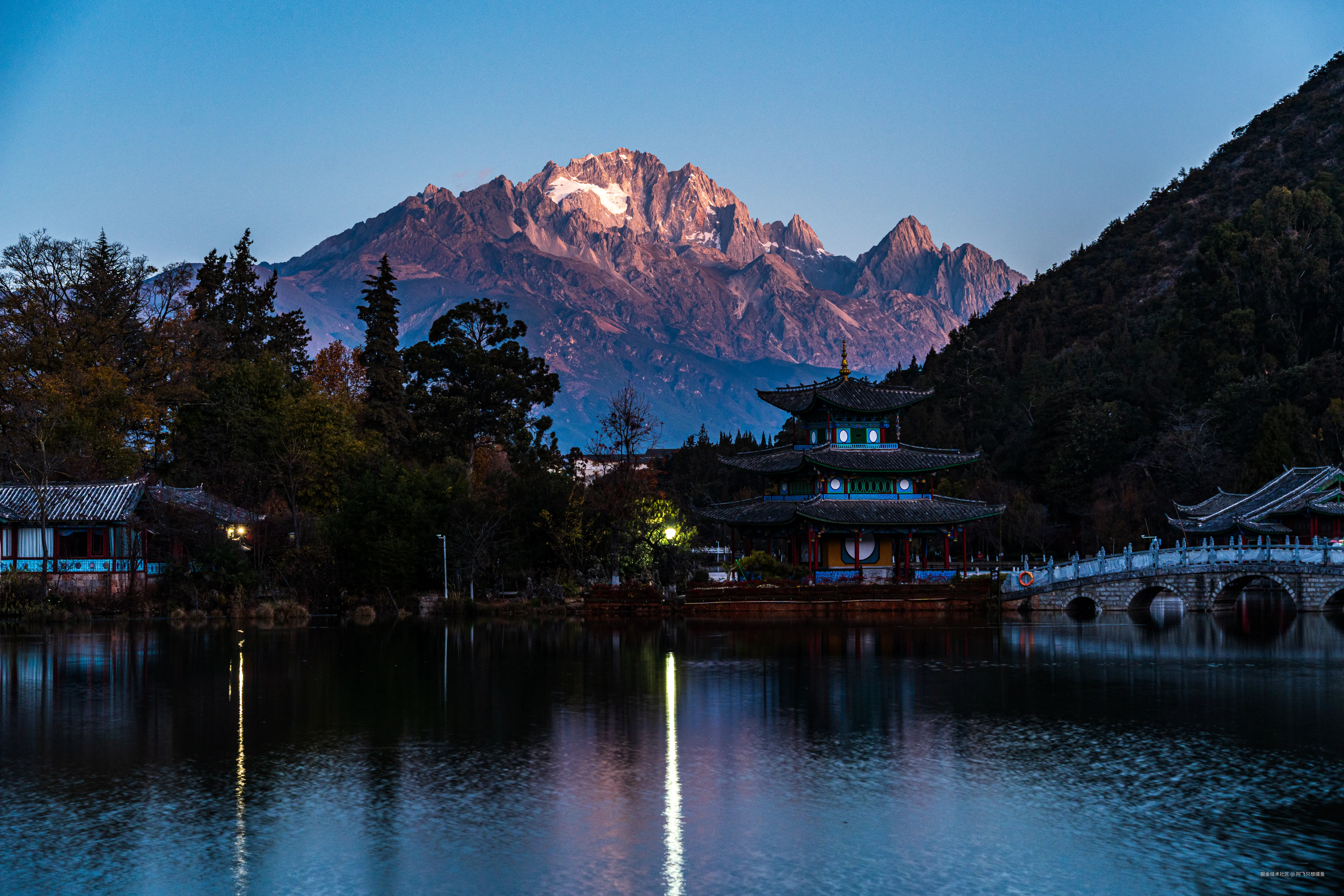 阿飞只想摸鱼于2026-02-11 14:49发布的图片