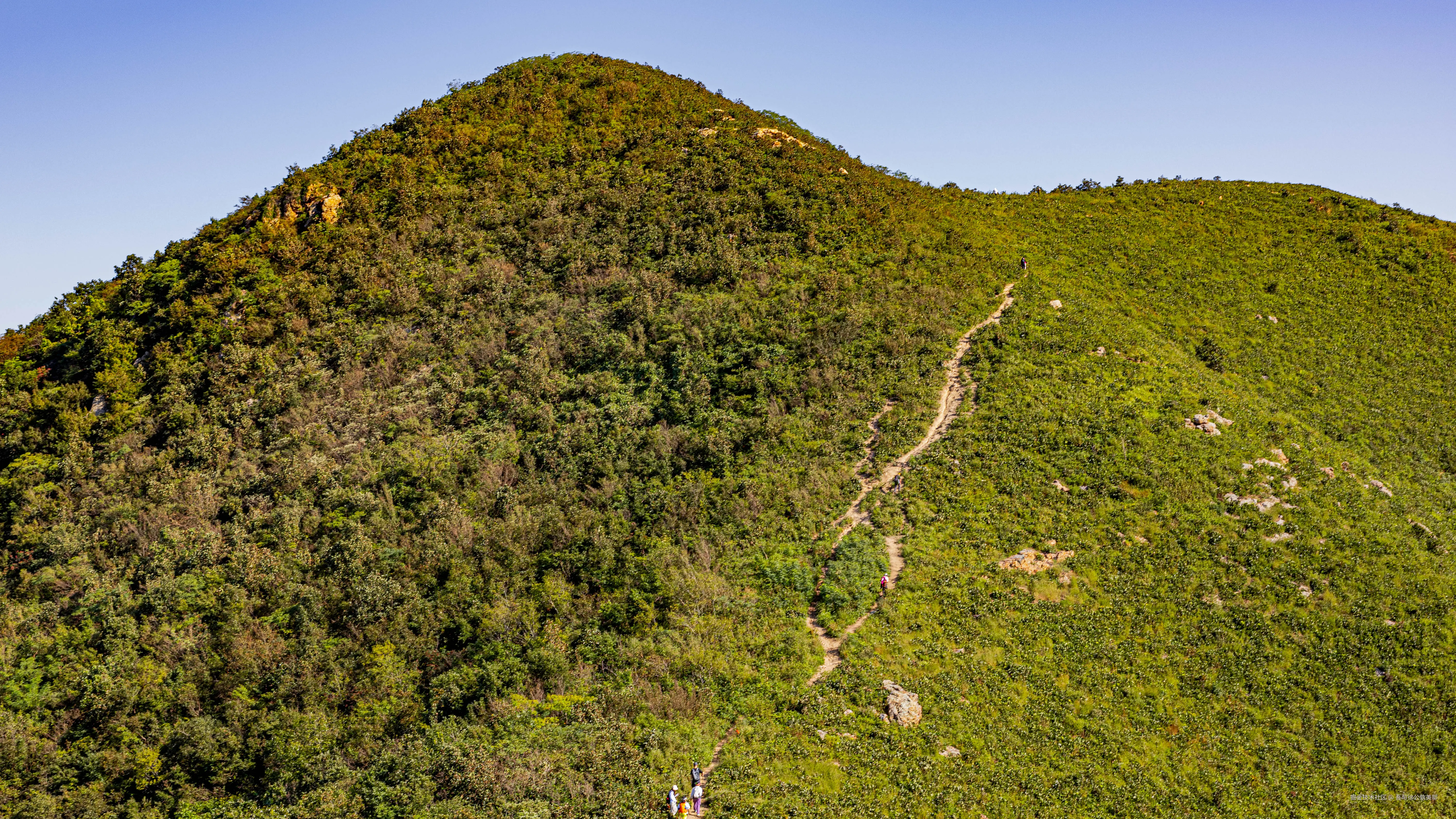 吾与徐公孰美耶于2024-10-11 17:05发布的图片