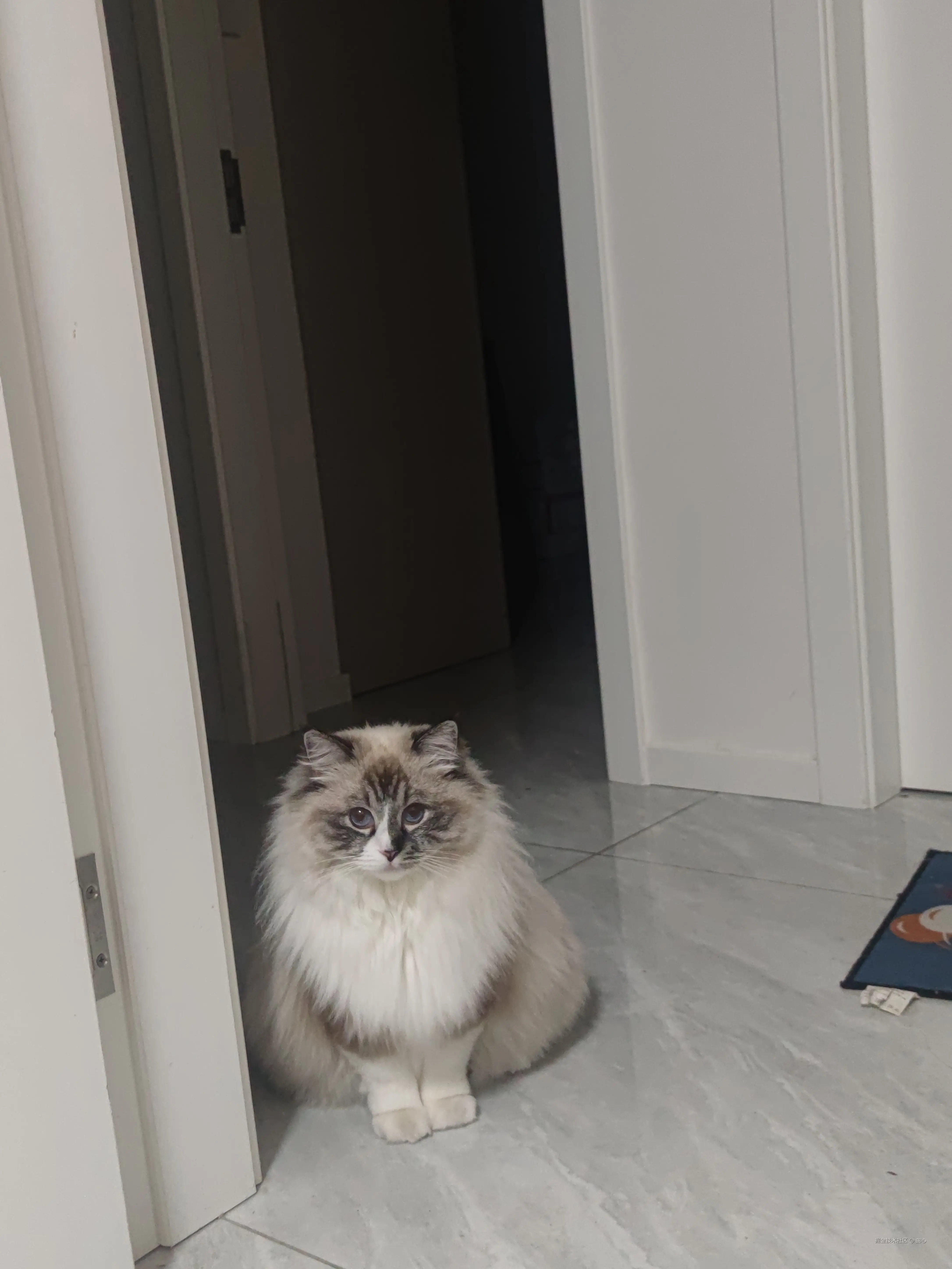 由心于2026-03-10 10:26发布的图片