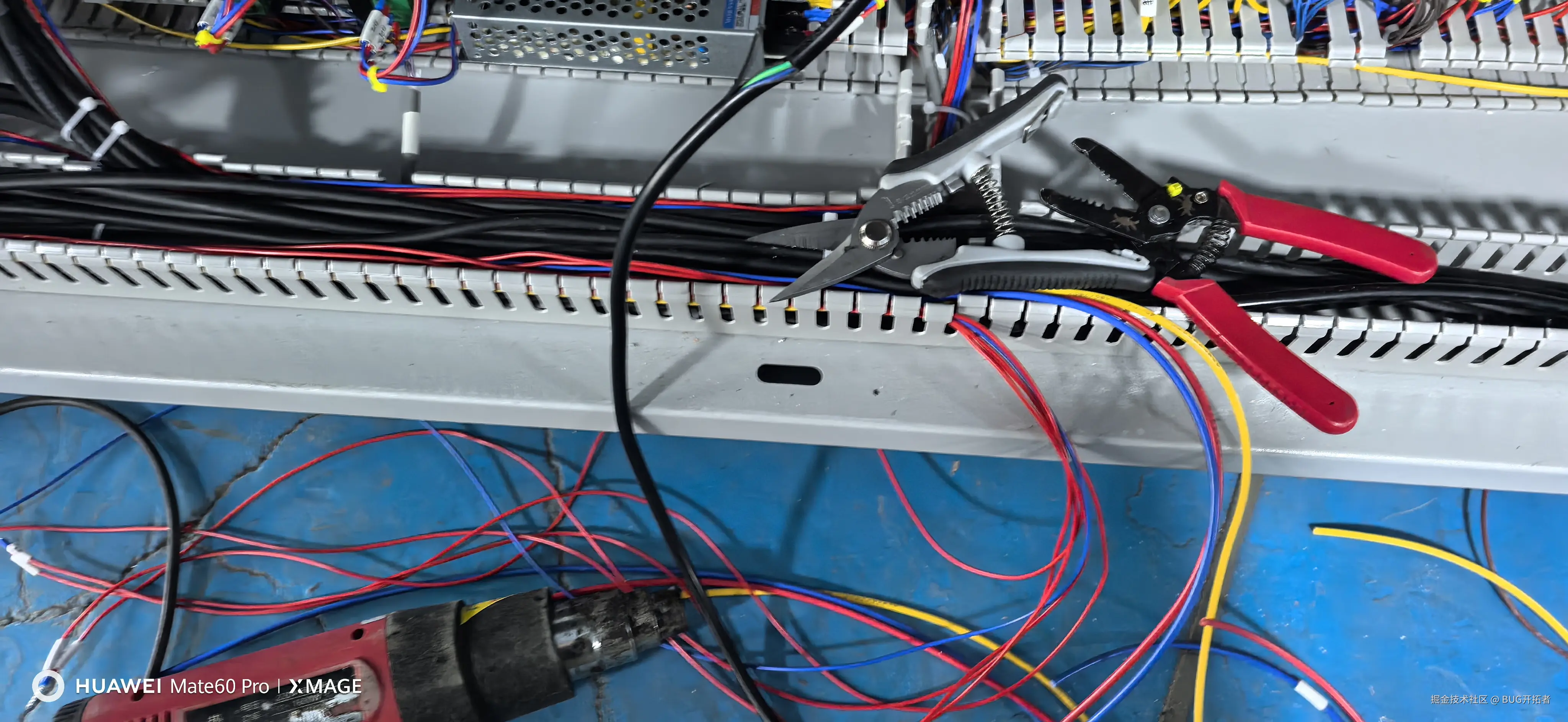 BUG开拓者于2025-10-09 13:39发布的图片