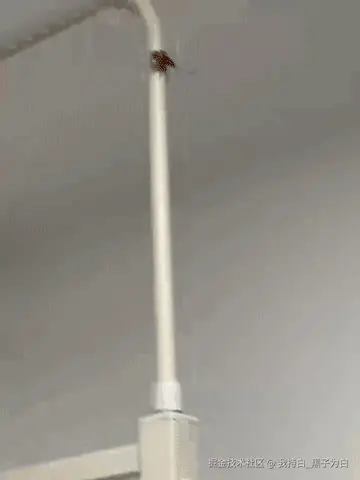 我持白_黑子为白于2025-12-12 11:47发布的图片