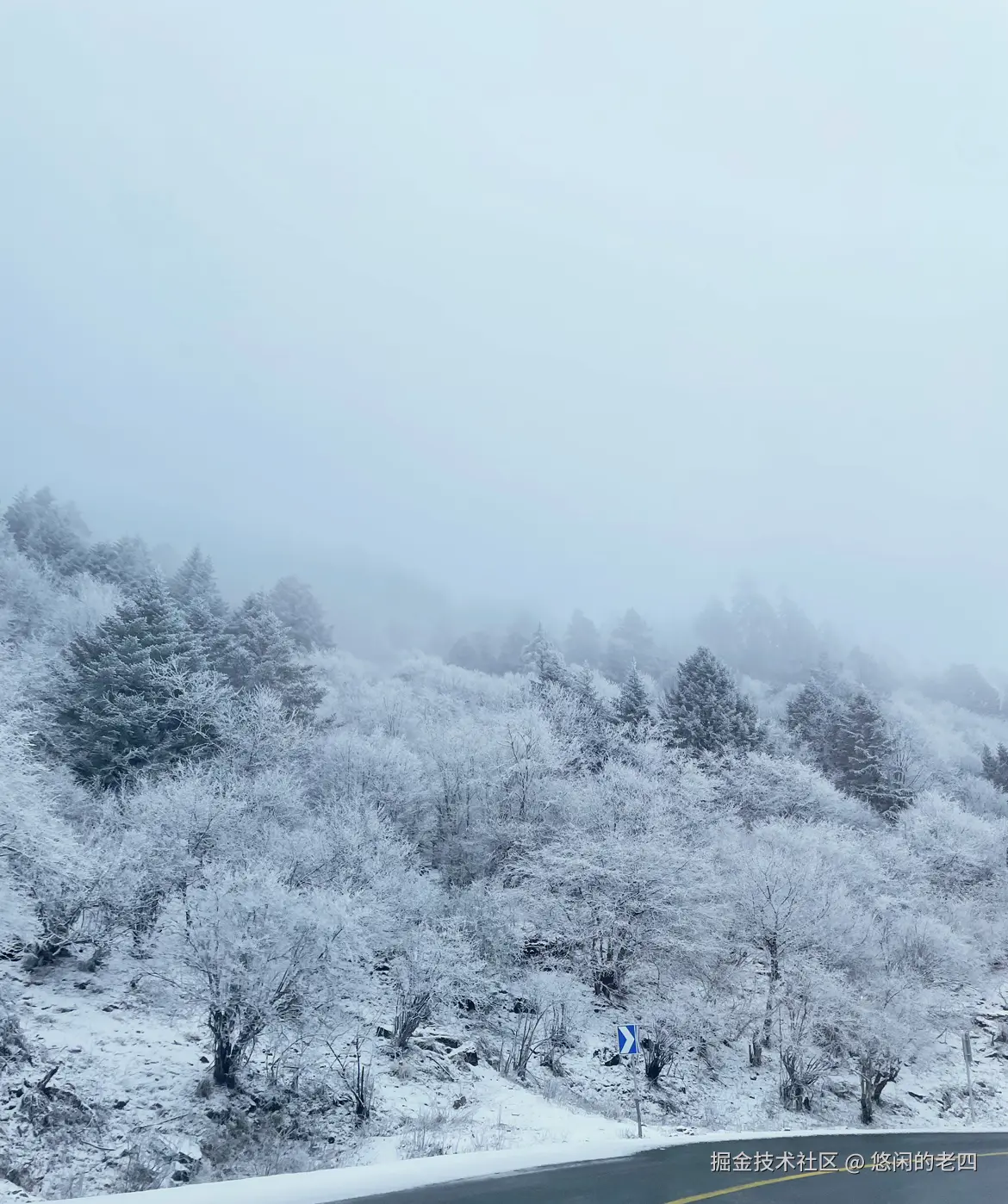 悠闲的老四于2025-01-21 18:00发布的图片