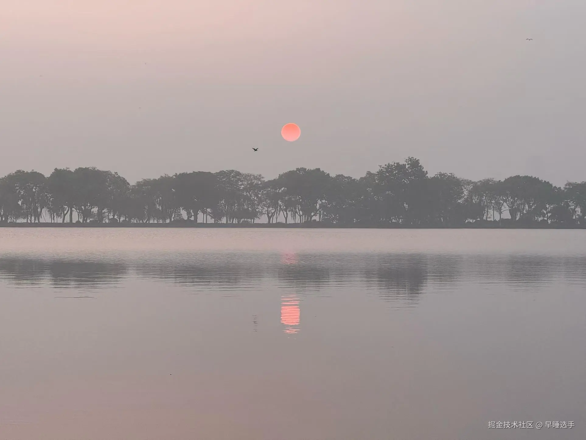 早睡选手于2026-04-20 16:17发布的图片