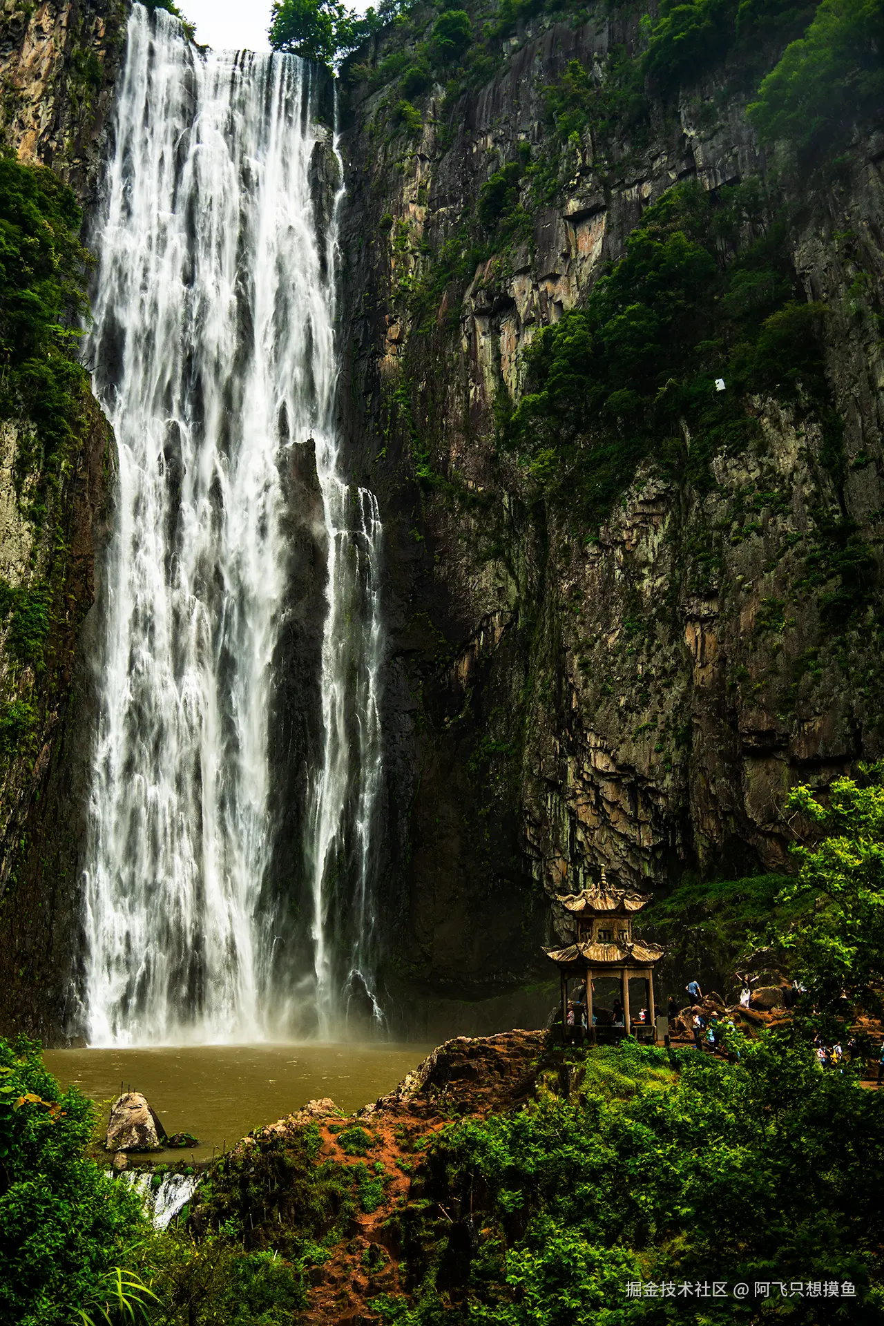 阿飞只想摸鱼于2025-07-16 10:45发布的图片