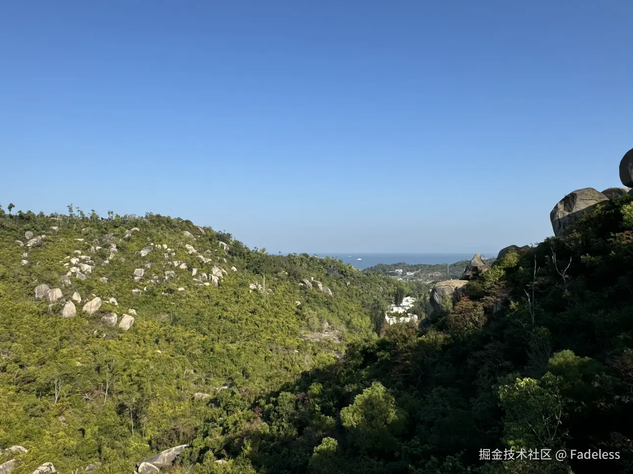 Fadeless于2026-01-14 15:43发布的图片