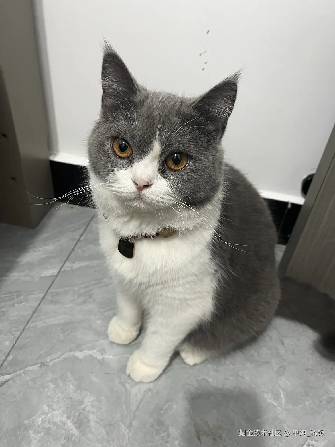 单纯_稀饭于2024-08-19 08:10发布的图片