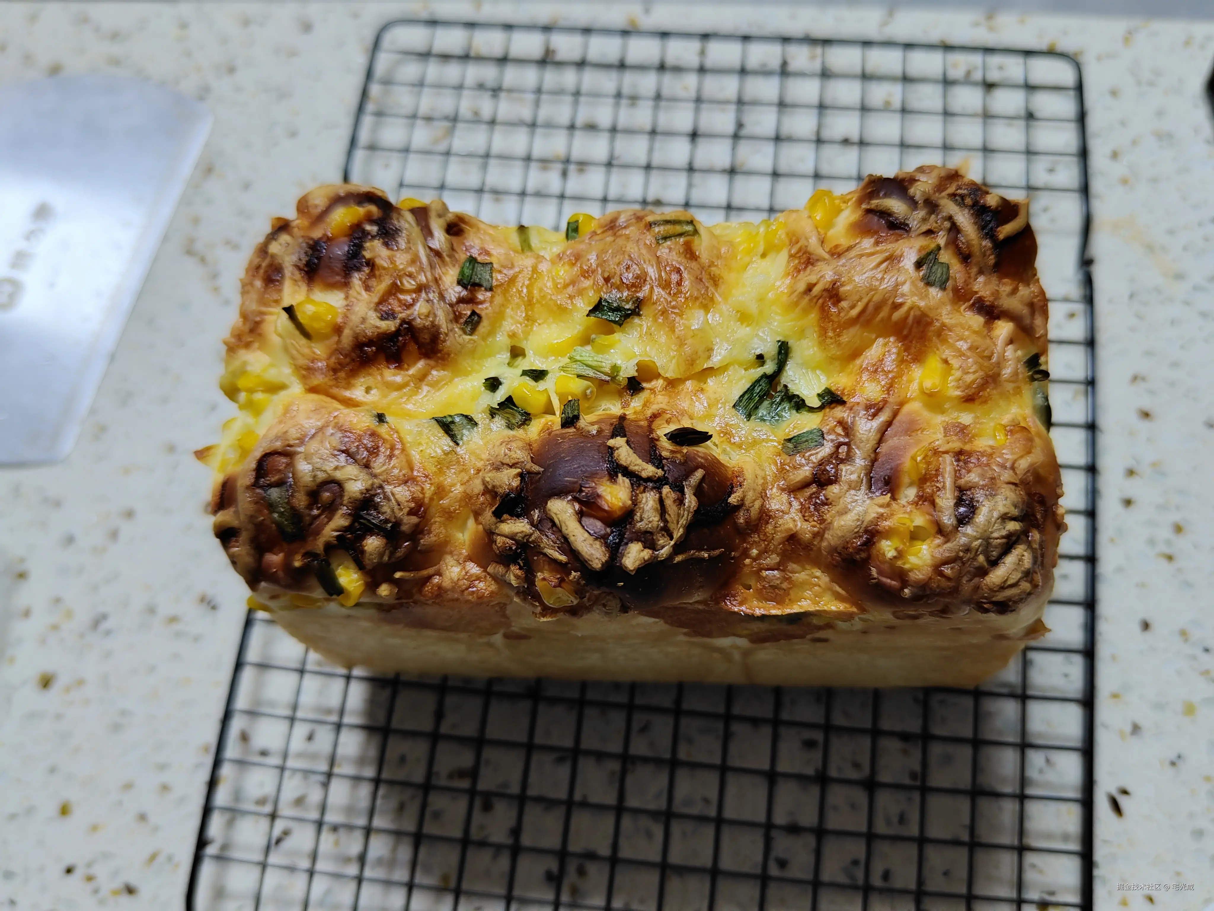 宅光咸于2026-01-26 00:57发布的图片