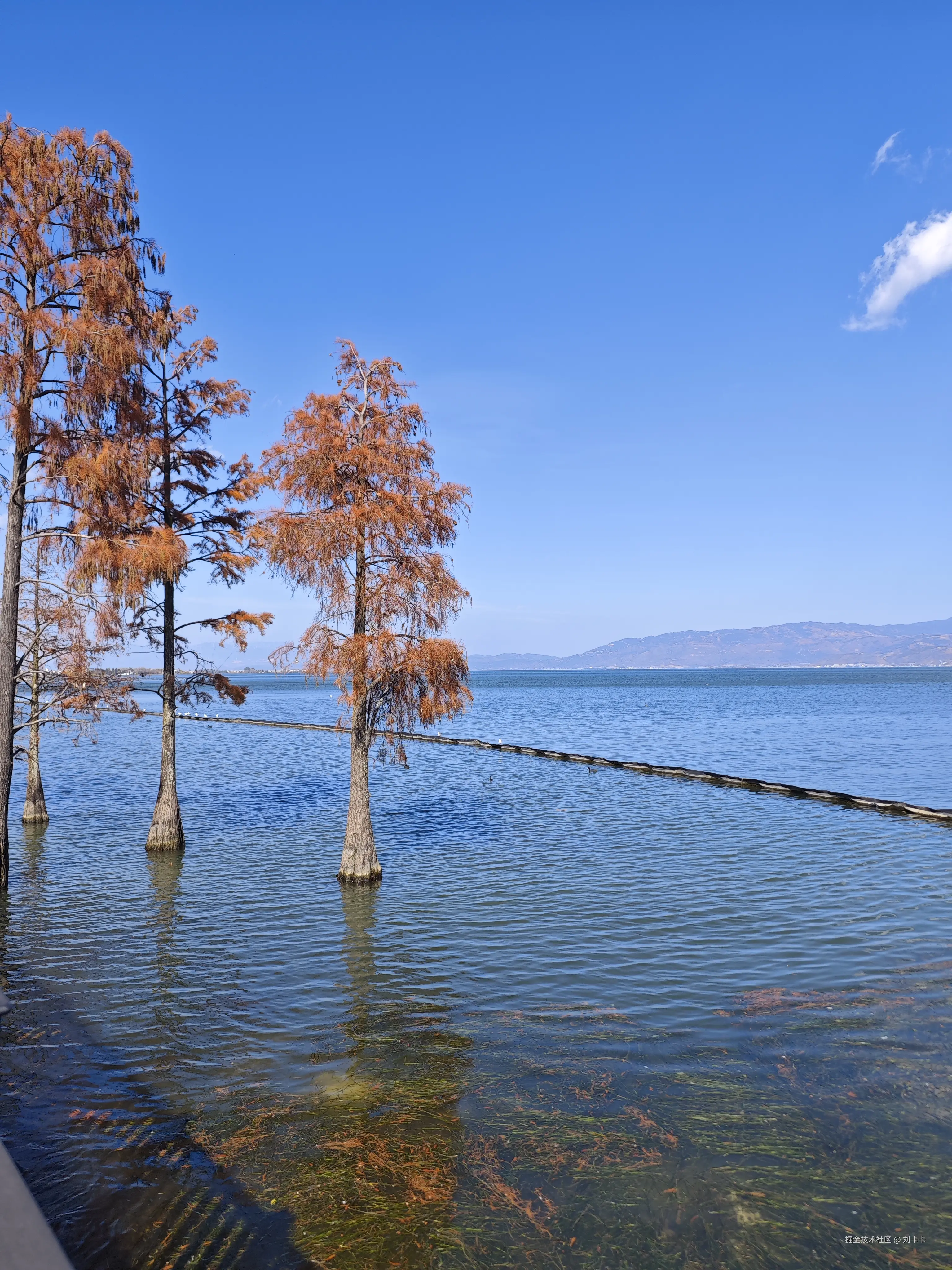 刘卡卡于2026-02-07 13:20发布的图片