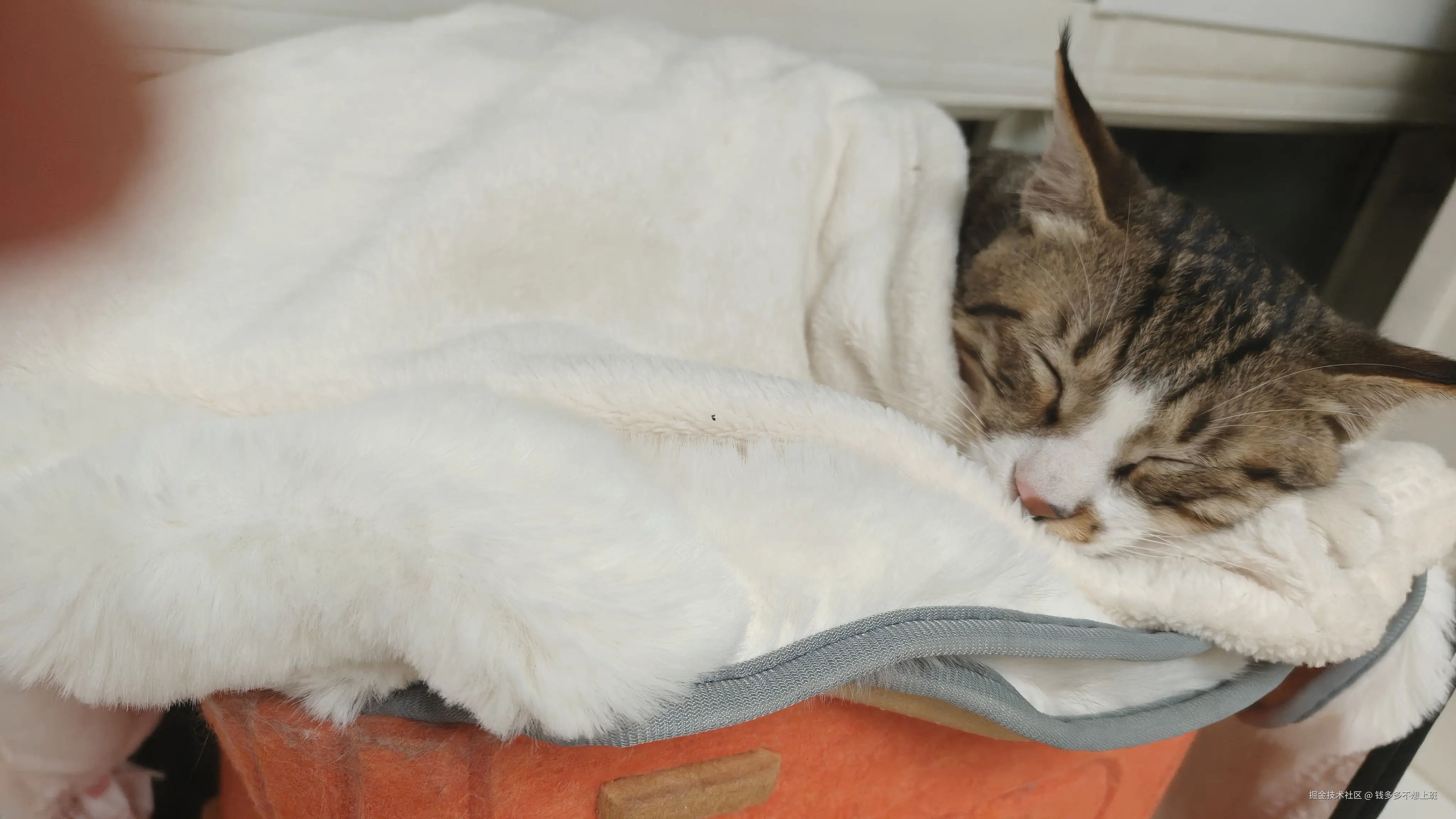 钱多多不想上班于2025-12-03 10:14发布的图片