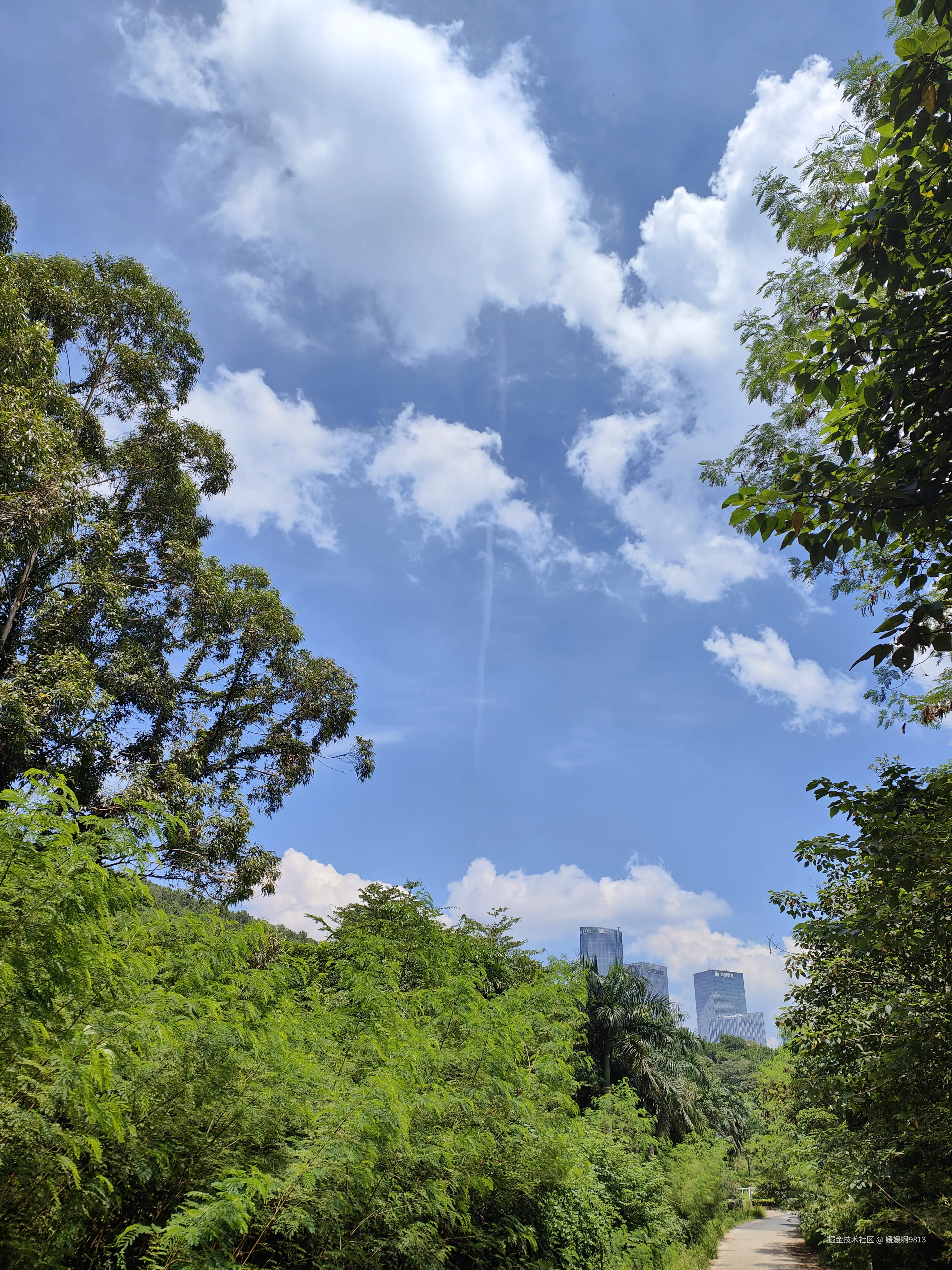 媛媛啊9813于2025-08-23 19:52发布的图片