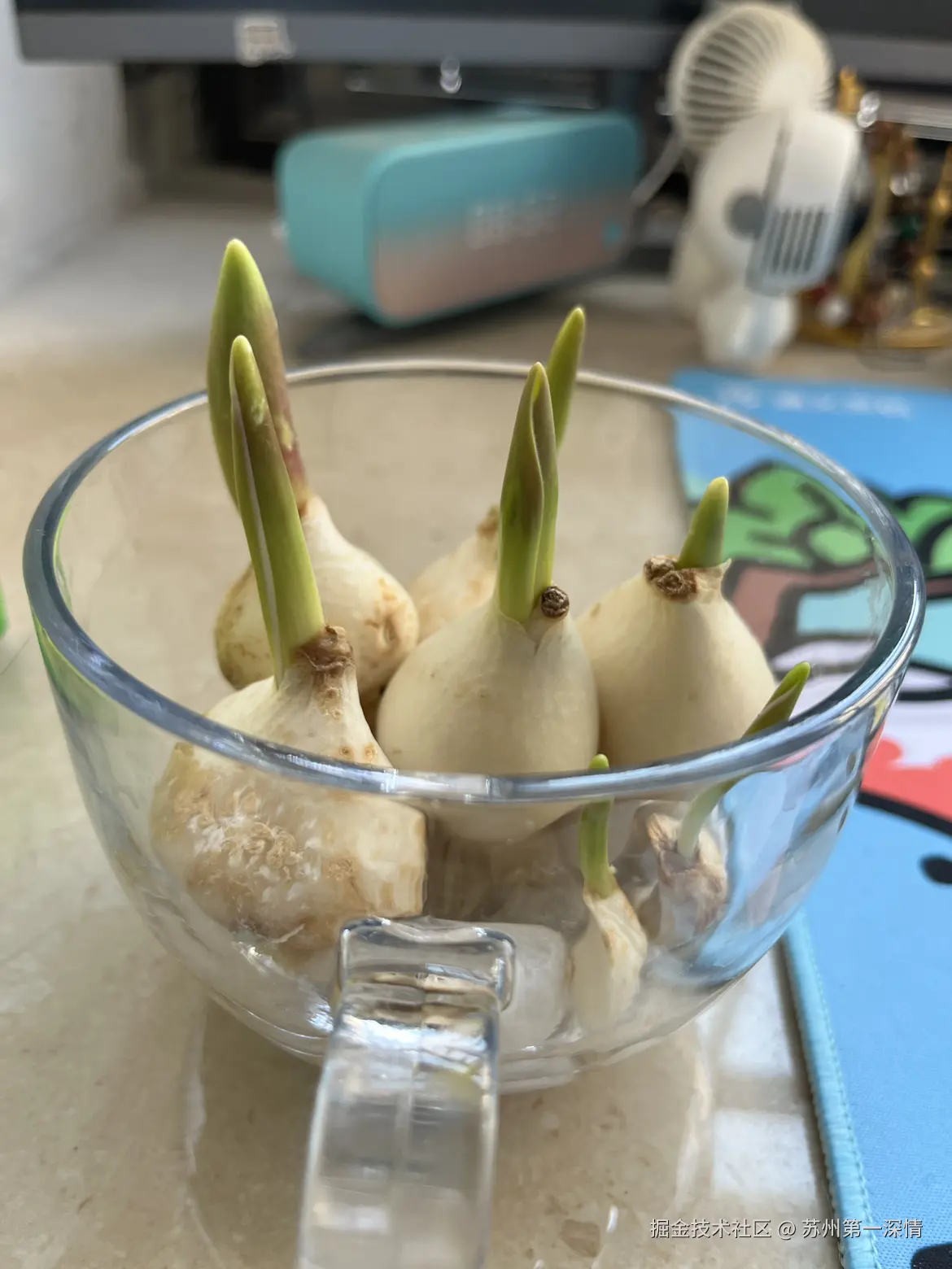 苏州第一深情于2025-03-22 08:34发布的图片