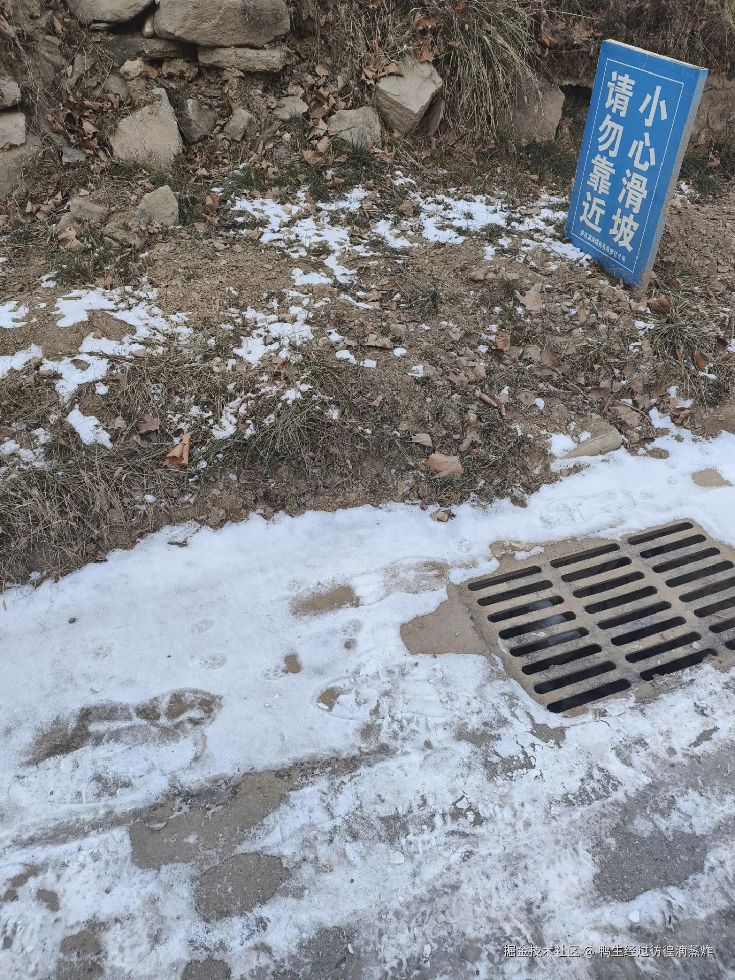 鸭生经过彷徨滴蒸炸于2024-12-14 17:41发布的图片