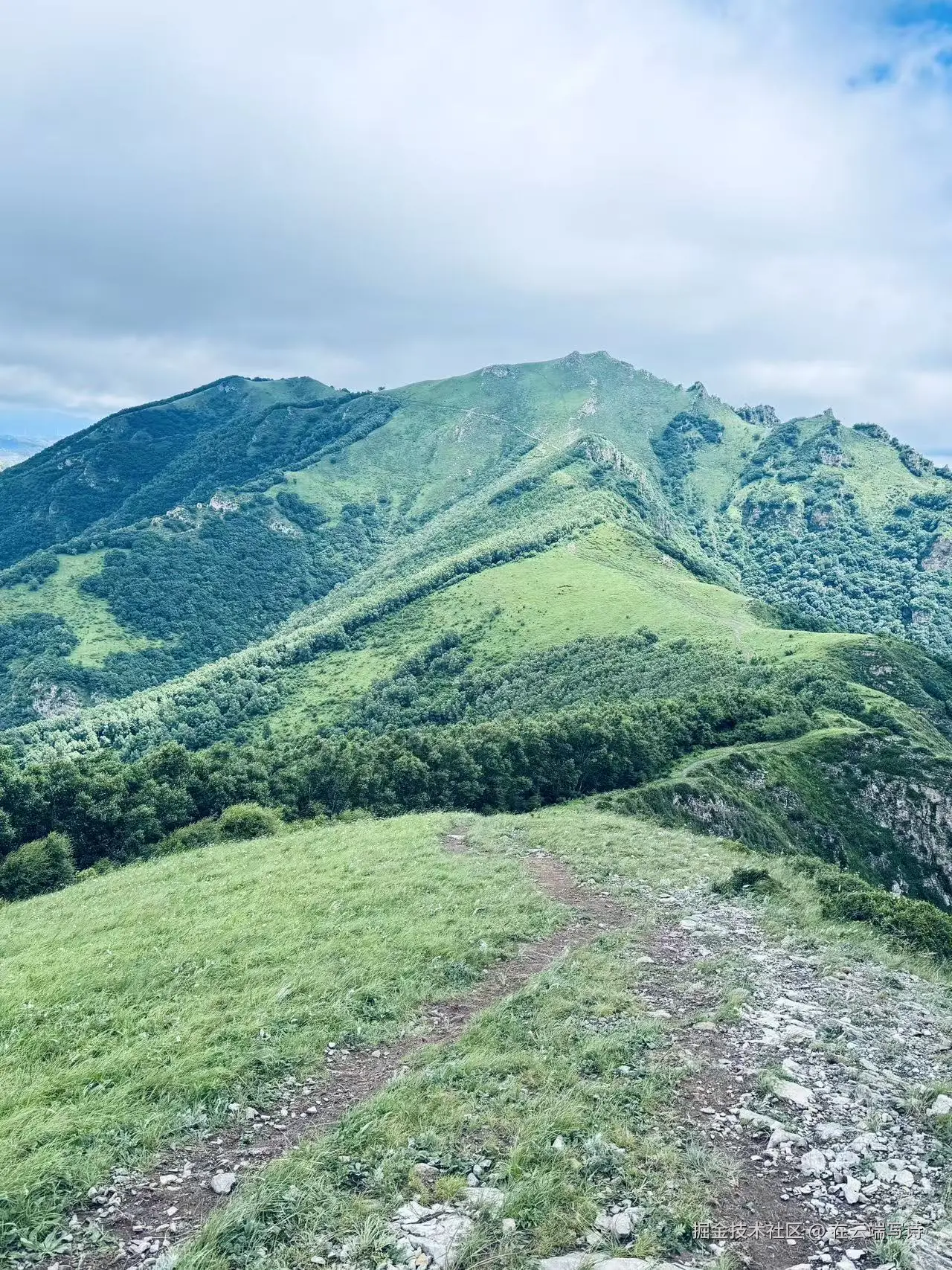 在云端写诗于2025-07-07 10:21发布的图片