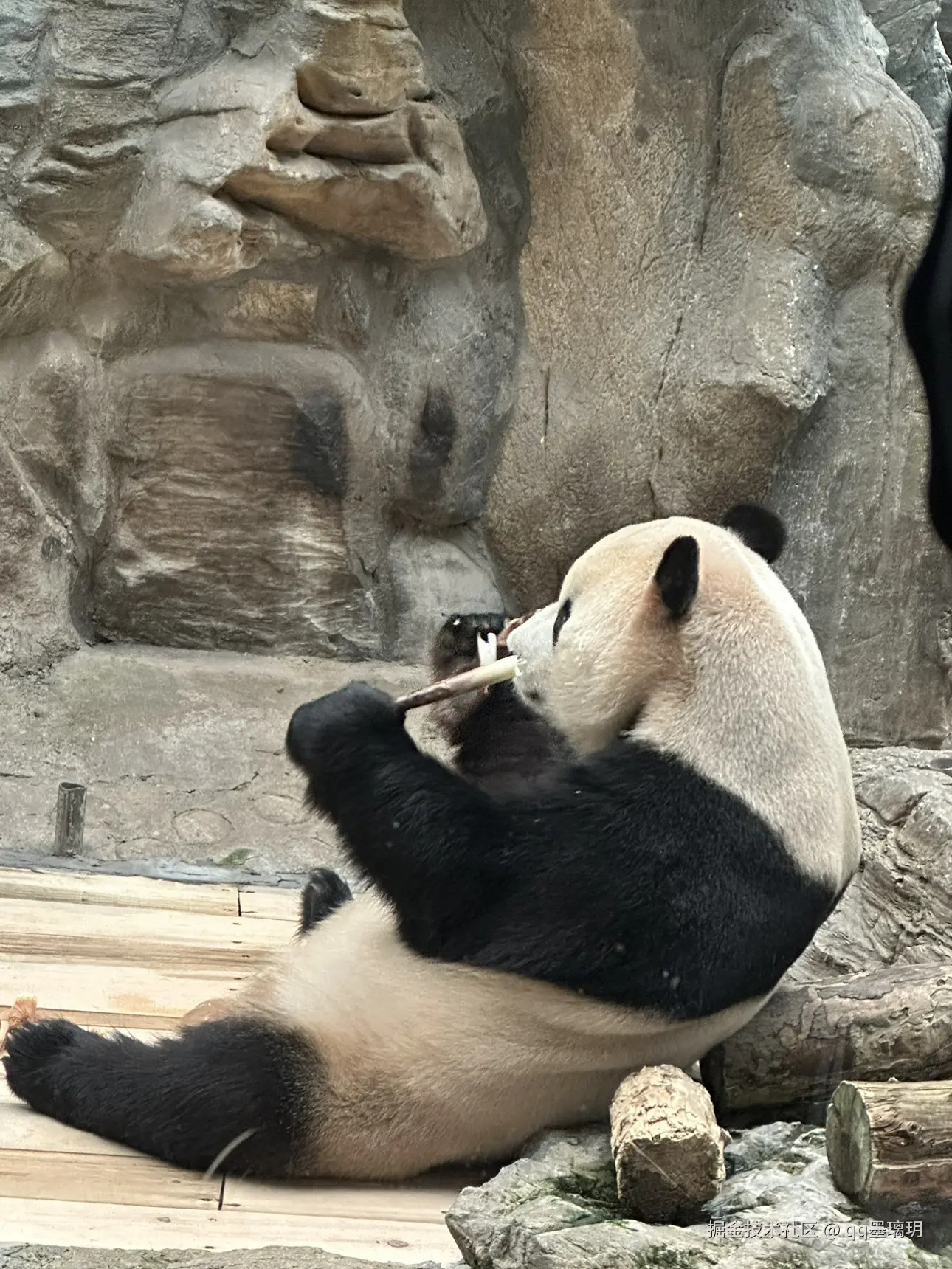 qq墨璃玥于2024-10-25 15:19发布的图片