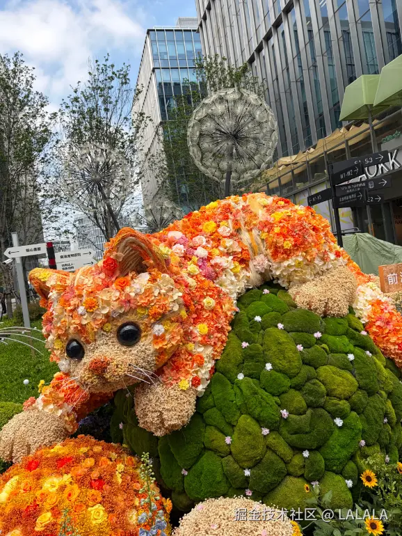 LALALA于2026-04-15 15:55发布的图片