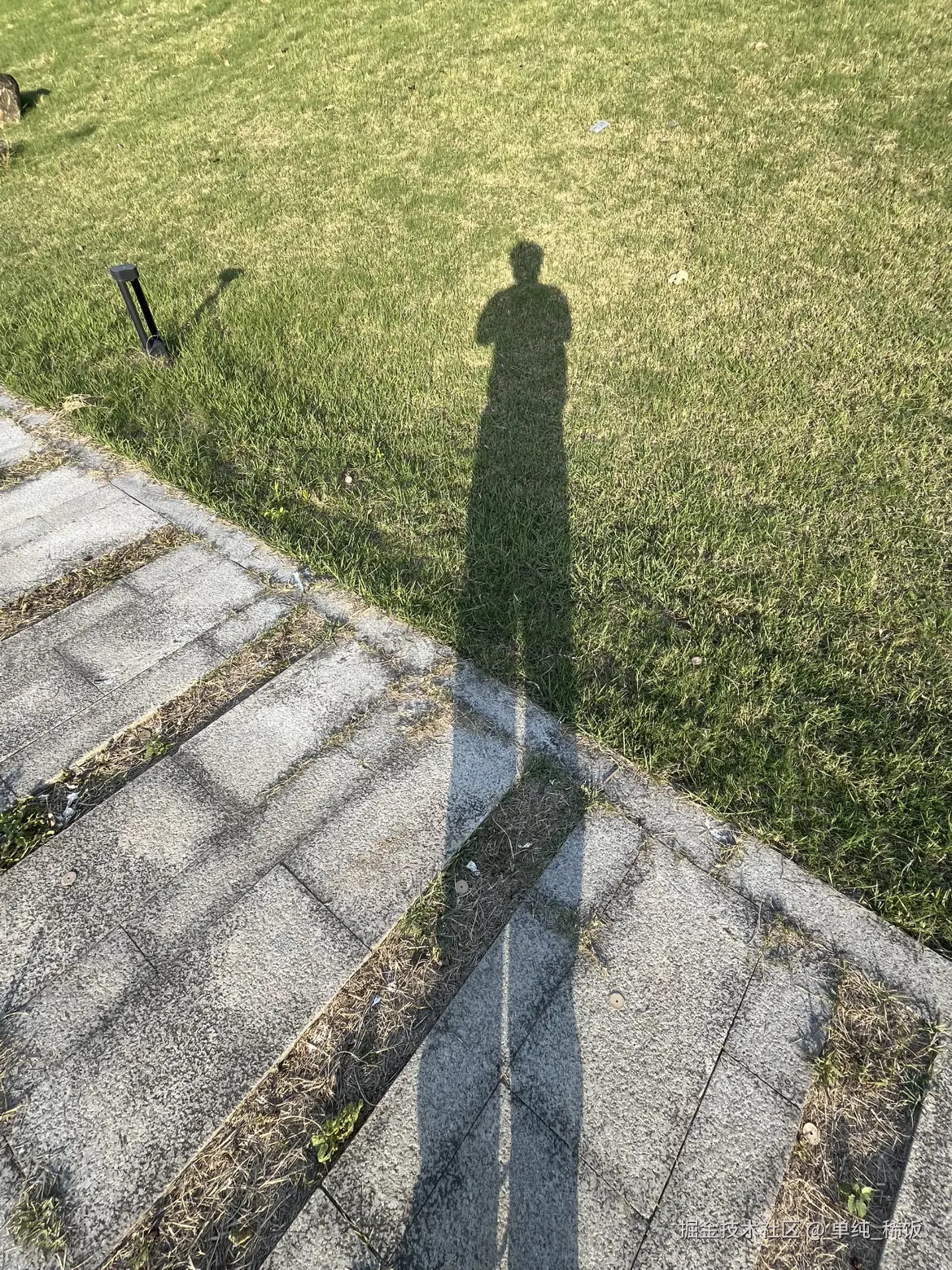 单纯_稀饭于2024-11-29 17:47发布的图片