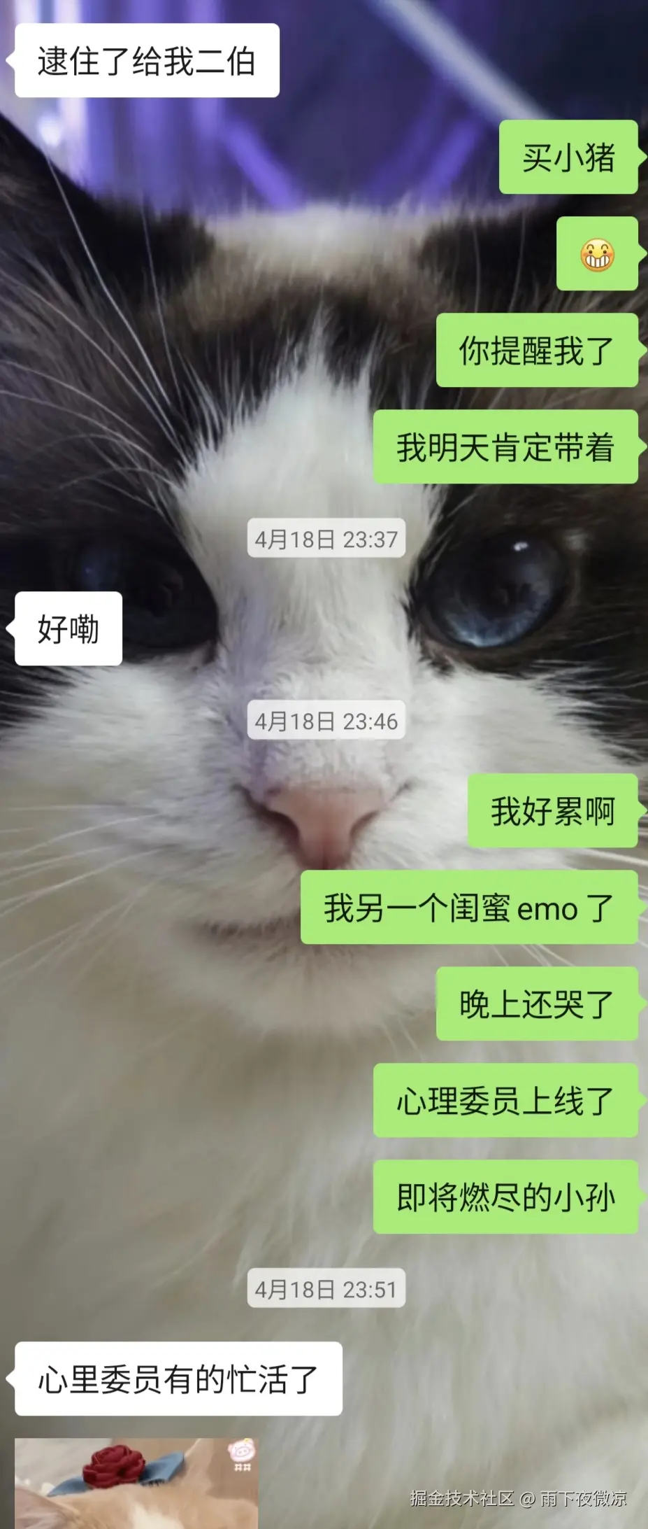 雨下夜微凉于2026-04-20 10:21发布的图片