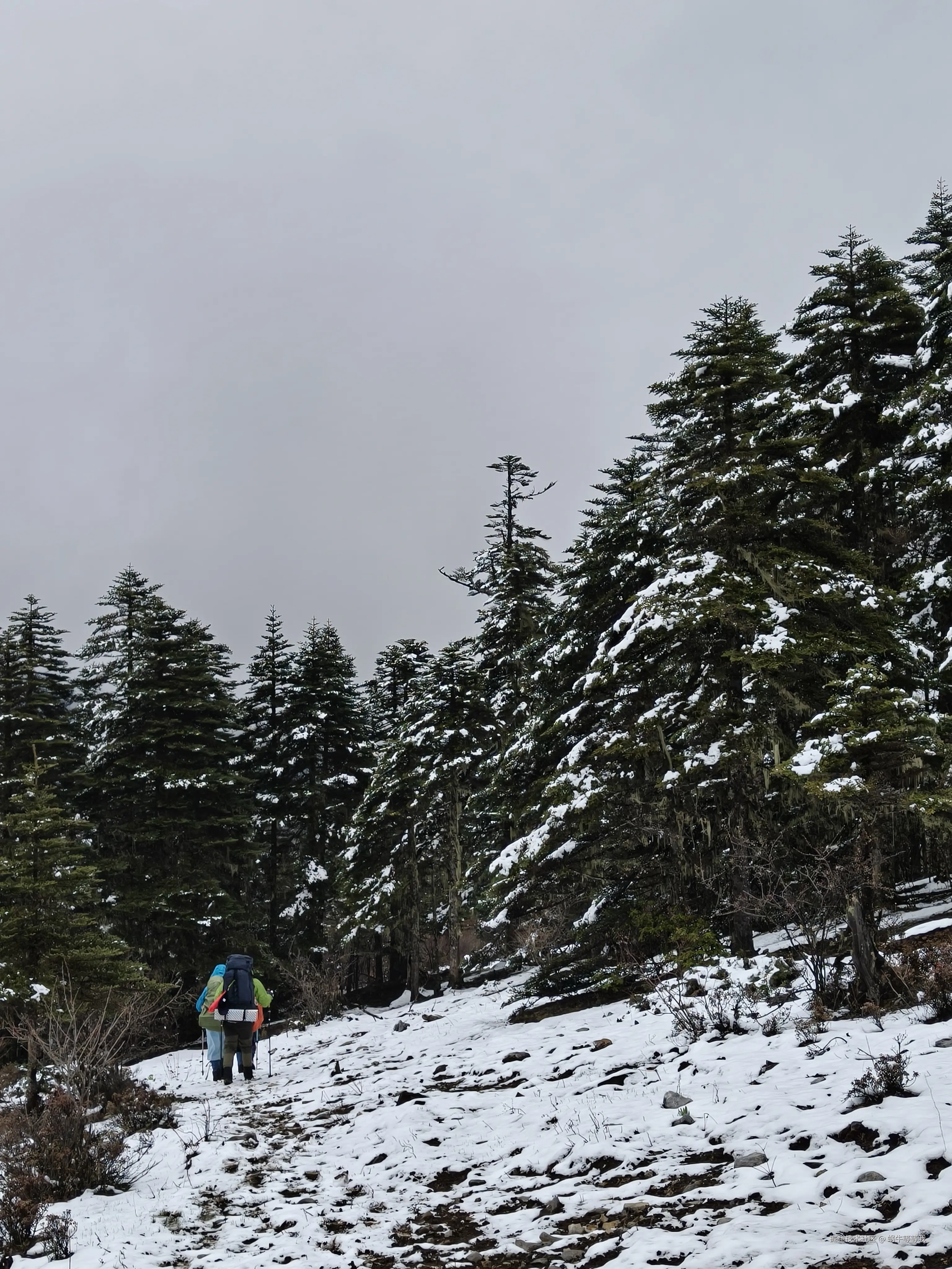 蜗牛等等我于2025-05-29 15:46发布的图片