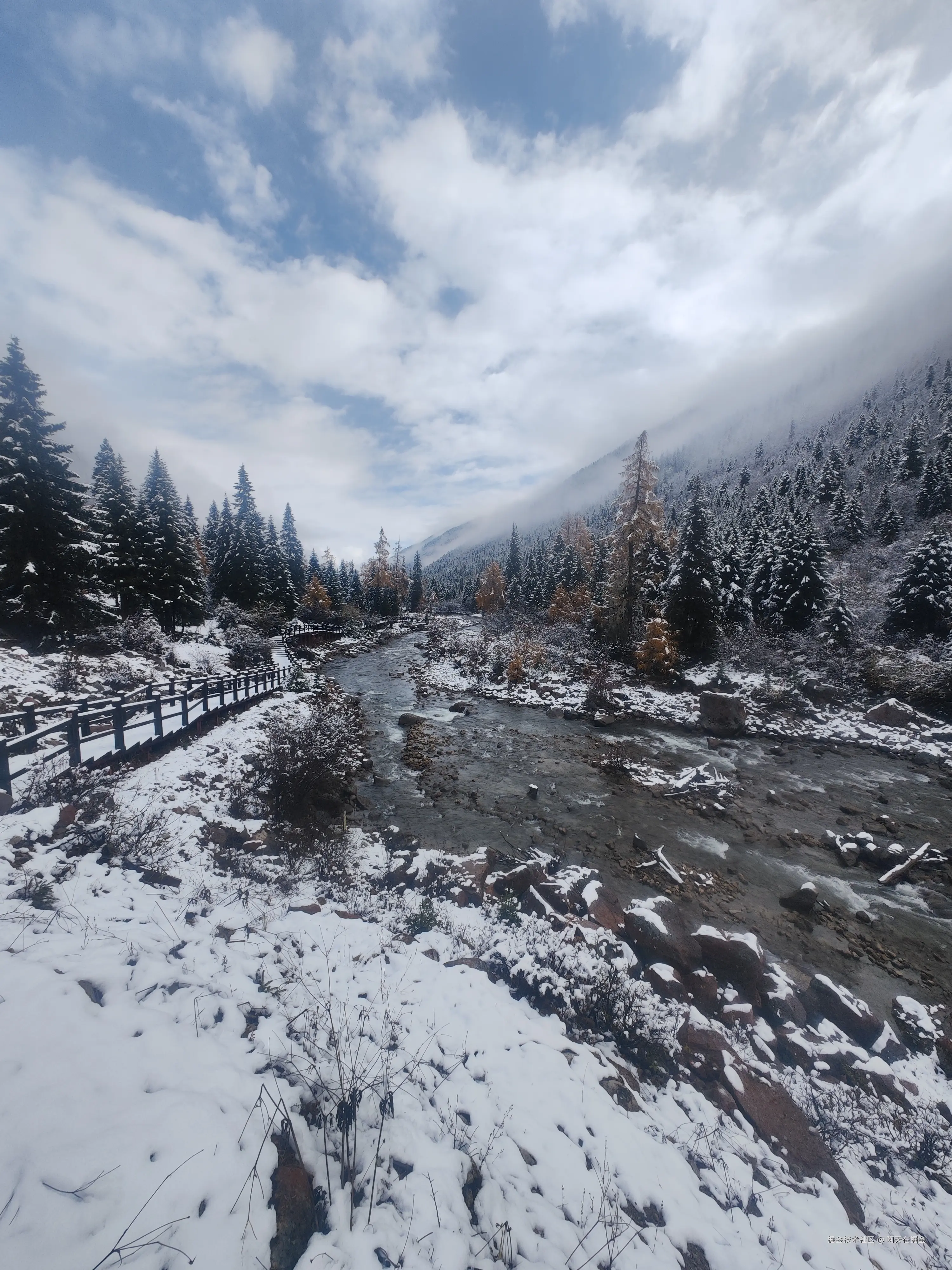 阿天在掘金于2024-11-07 10:39发布的图片