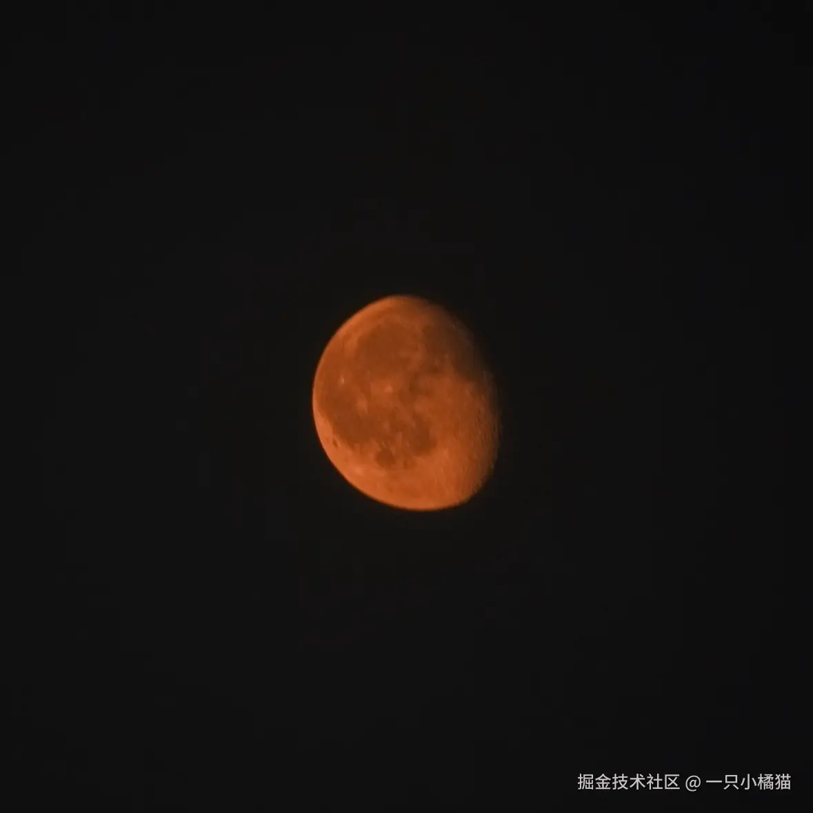一只小橘猫于2026-08-04 16:46发布的图片