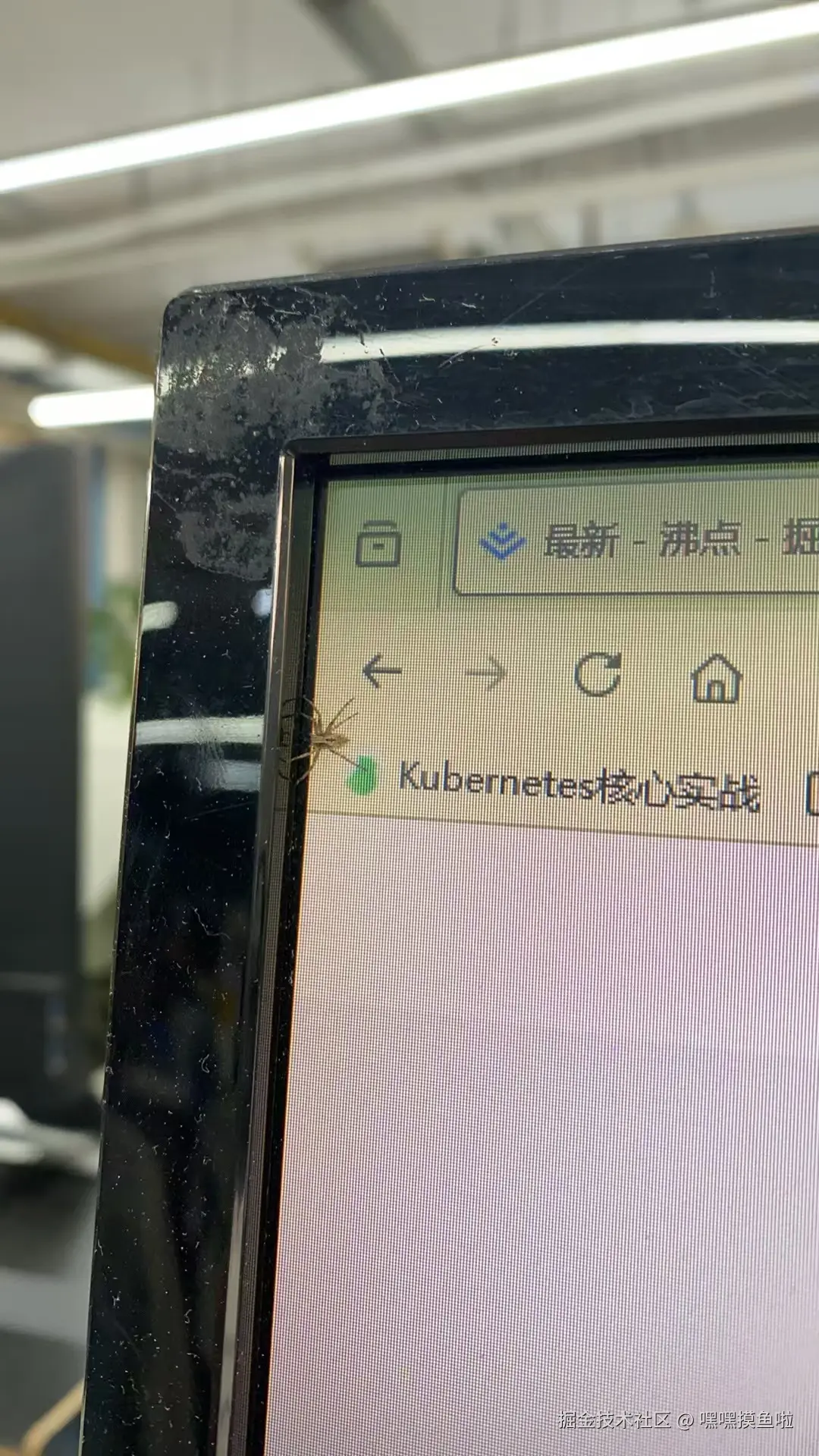嘿嘿摸鱼啦于2024-11-01 02:46发布的图片