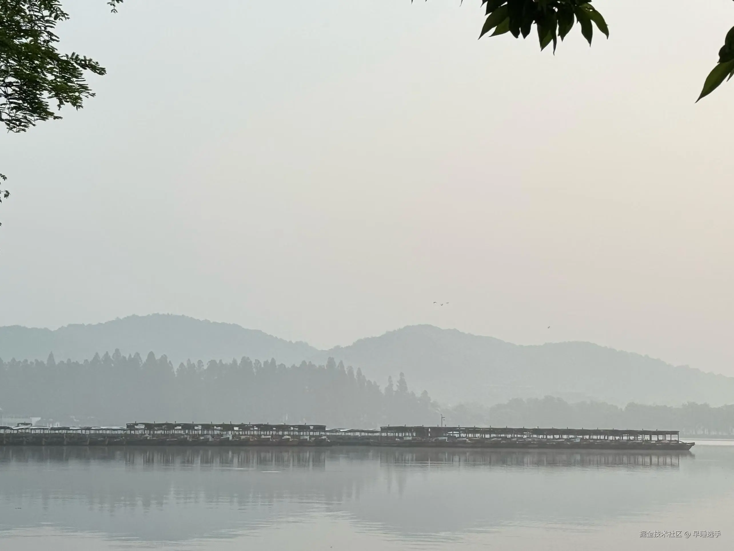 早睡选手于2026-04-20 16:17发布的图片