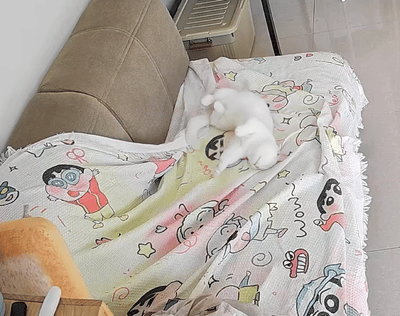 就爱吃火锅于2025-09-28 12:49发布的图片