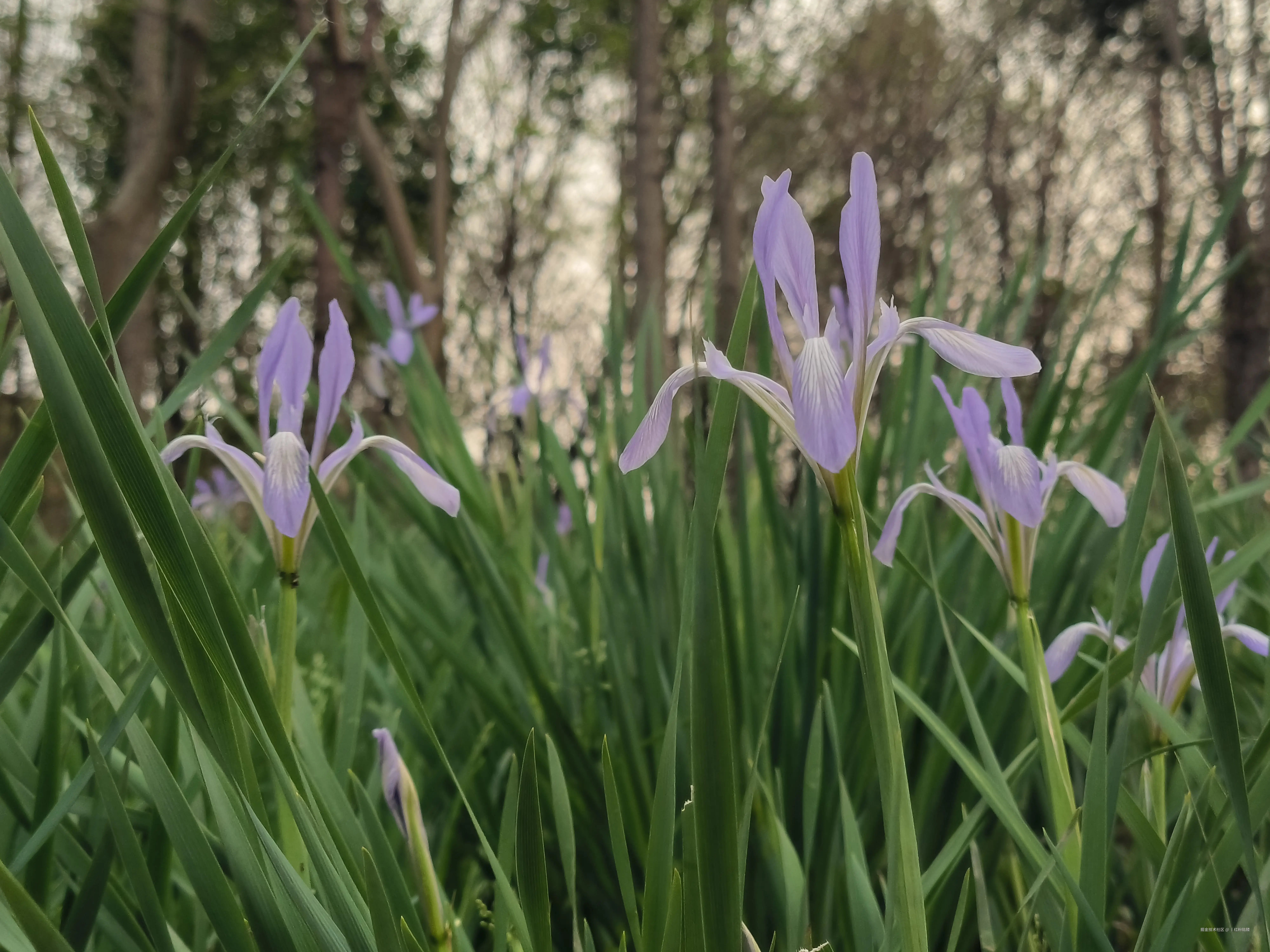 丨红粉骷髅于2025-04-08 17:21发布的图片