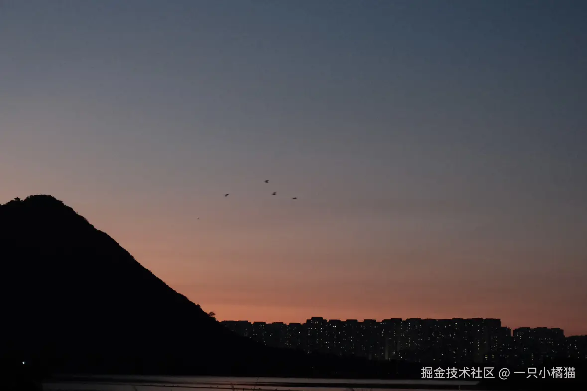 一只小橘猫于2024-07-30 10:43发布的图片