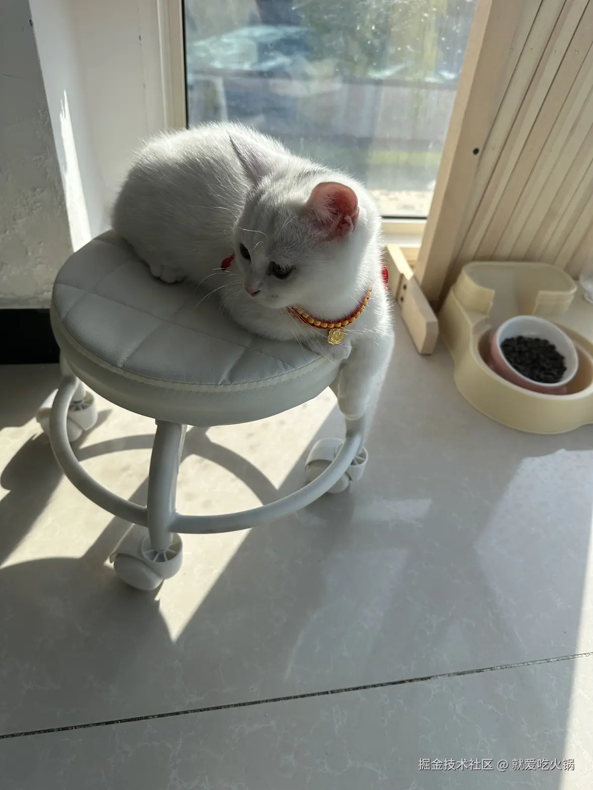 就爱吃火锅于2025-04-07 09:11发布的图片